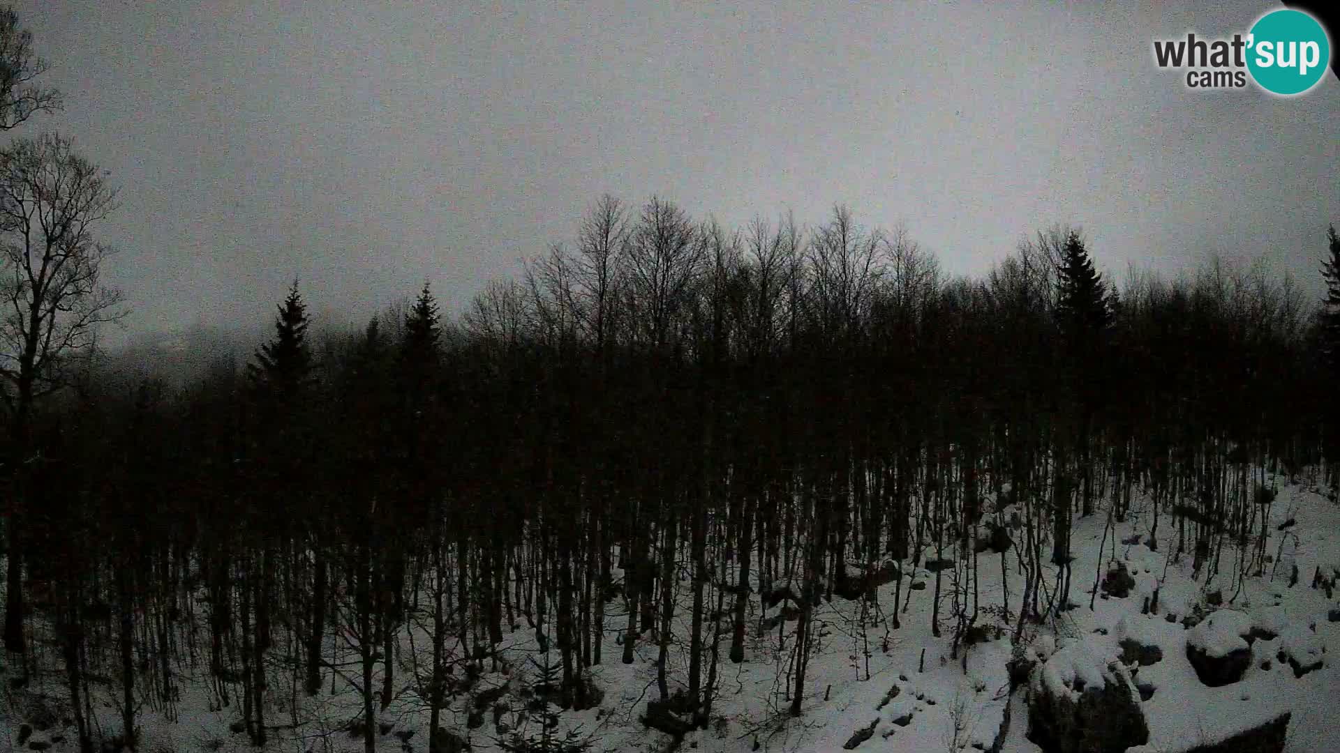 PLANINA RAZOR kamera (1315) | pogled na Vogel in Globoko