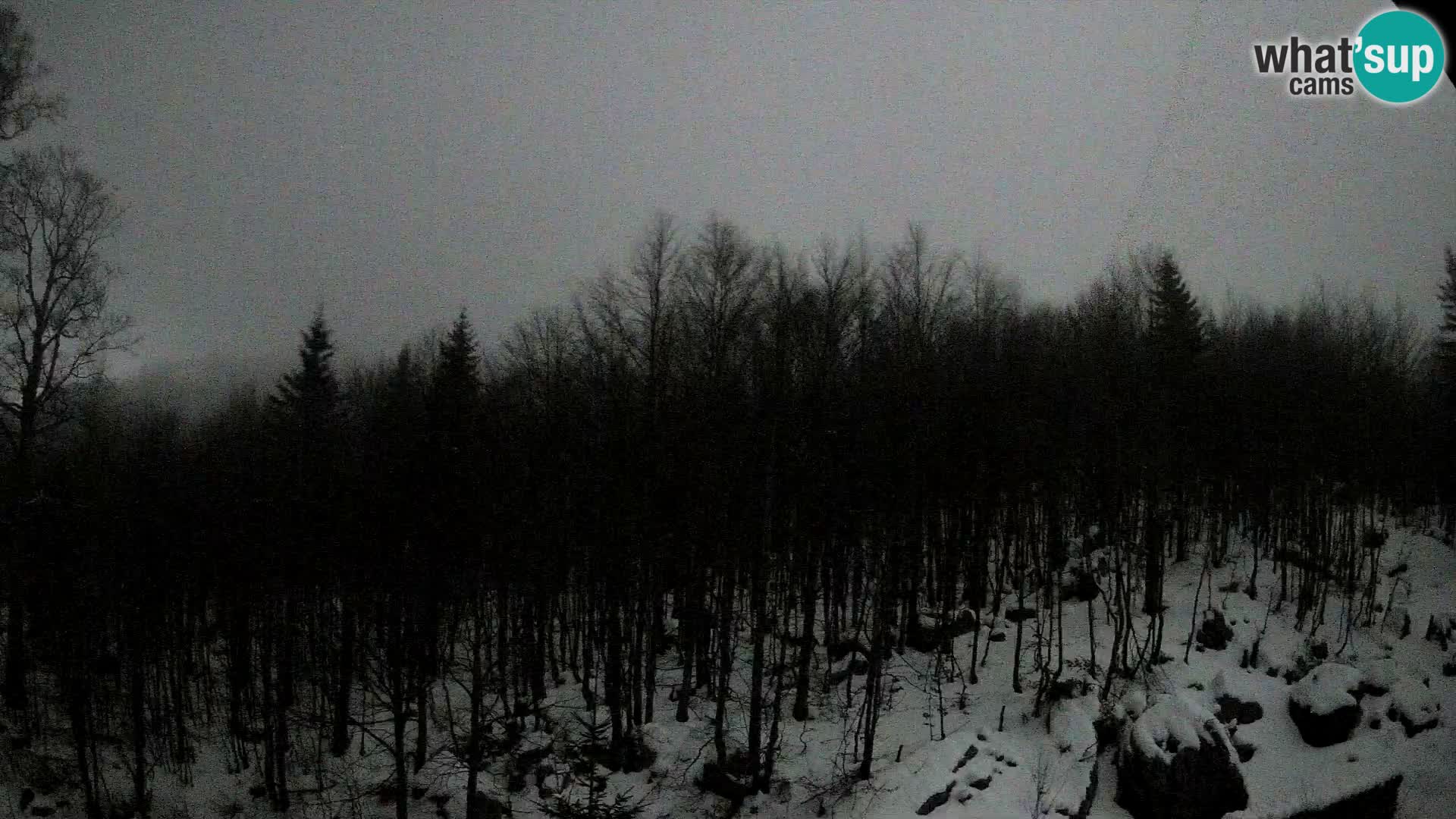 PLANINA RAZOR web kamera (1315) | pogled na Vogel i Globoko