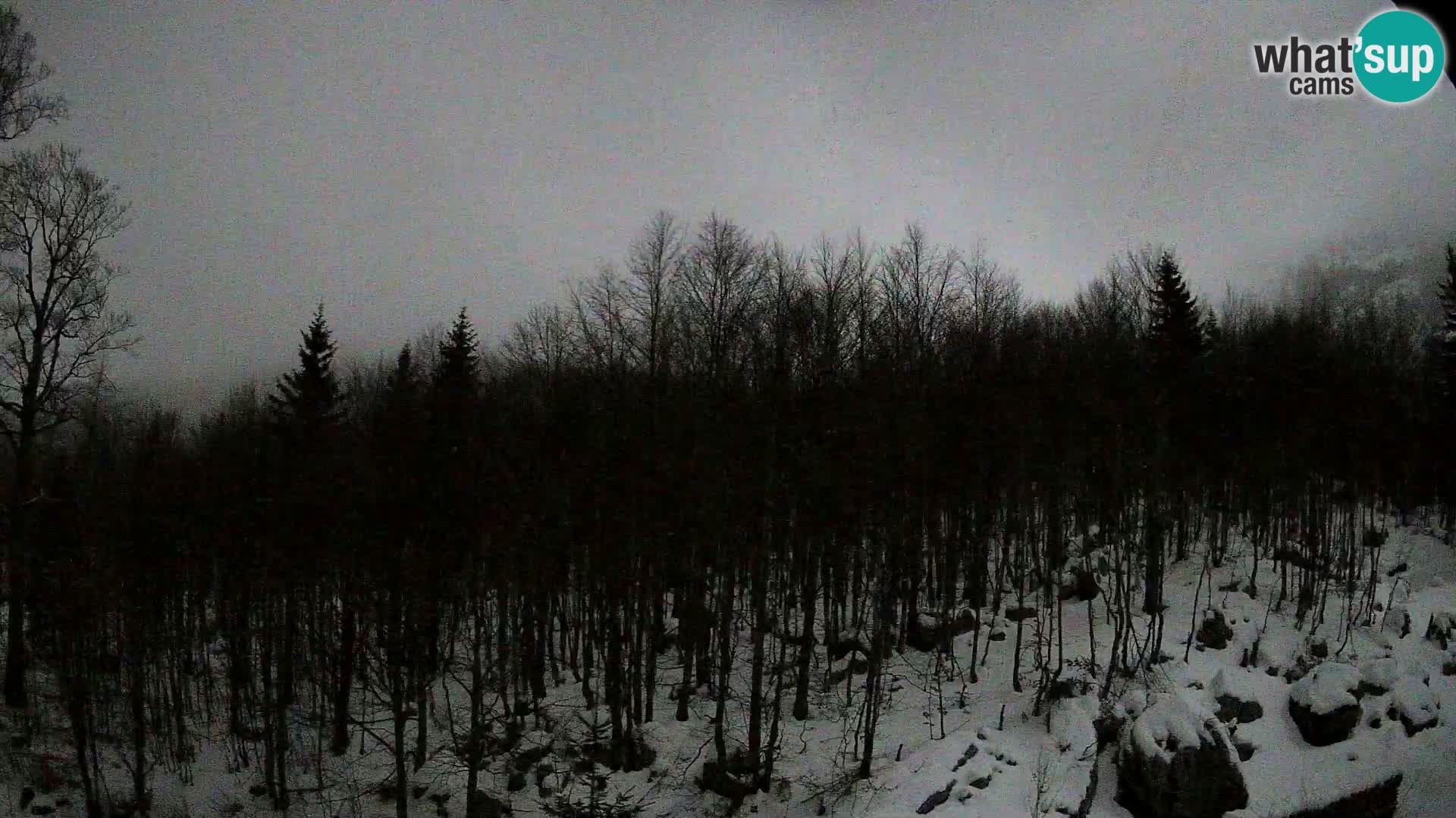 PLANINA RAZOR kamera (1315) | pogled na Vogel in Globoko