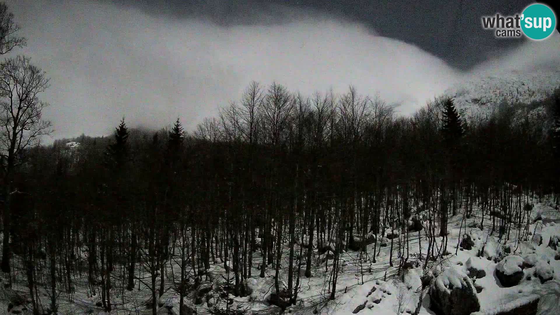 PLANINA RAZOR webcam (1315) | view to Vogel and Globoko