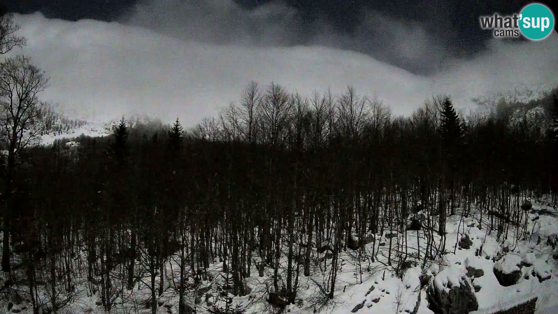 PLANINA RAZOR webcam (1315) | view to Vogel and Globoko