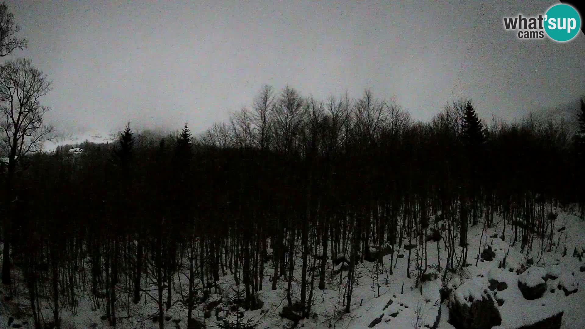 PLANINA RAZOR webcam (1315) | view to Vogel and Globoko