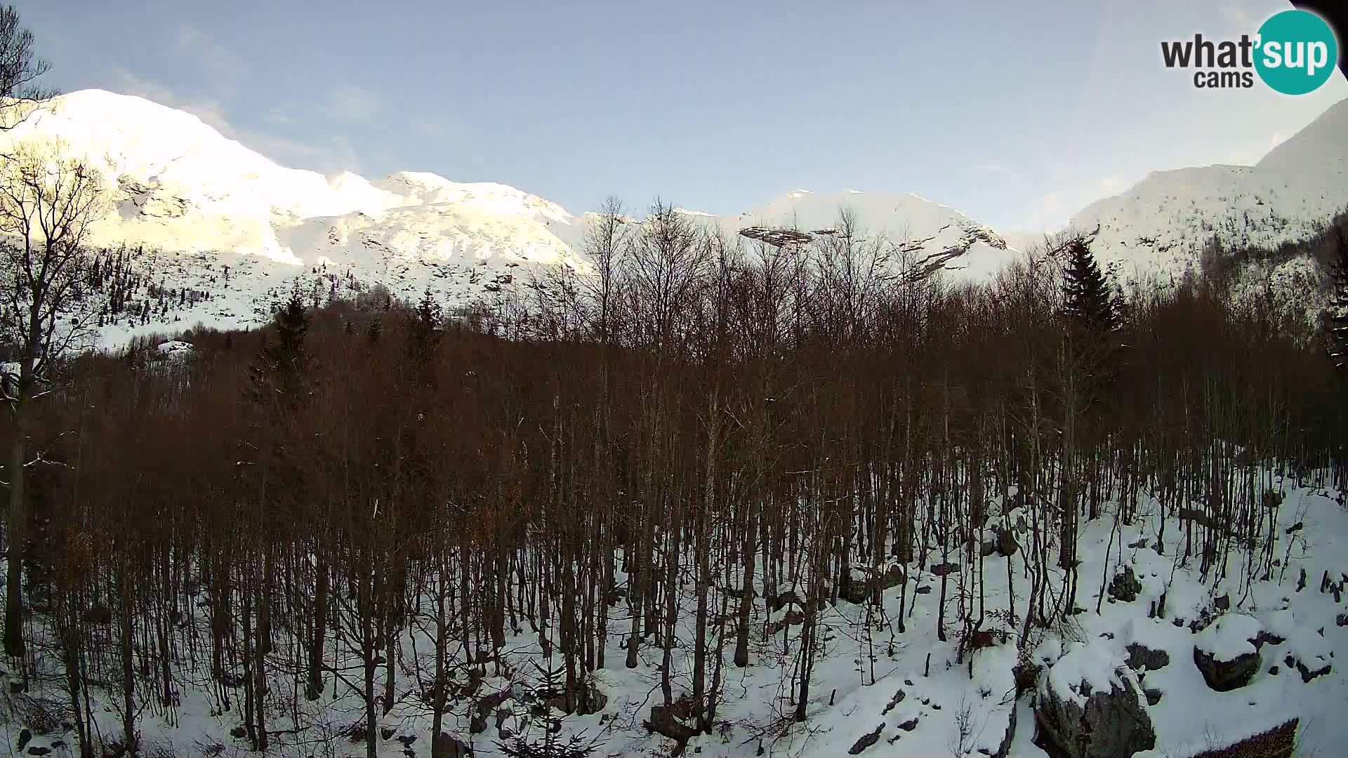 PLANINA RAZOR Live Cam (1315) | vista su Vogel e Globoko