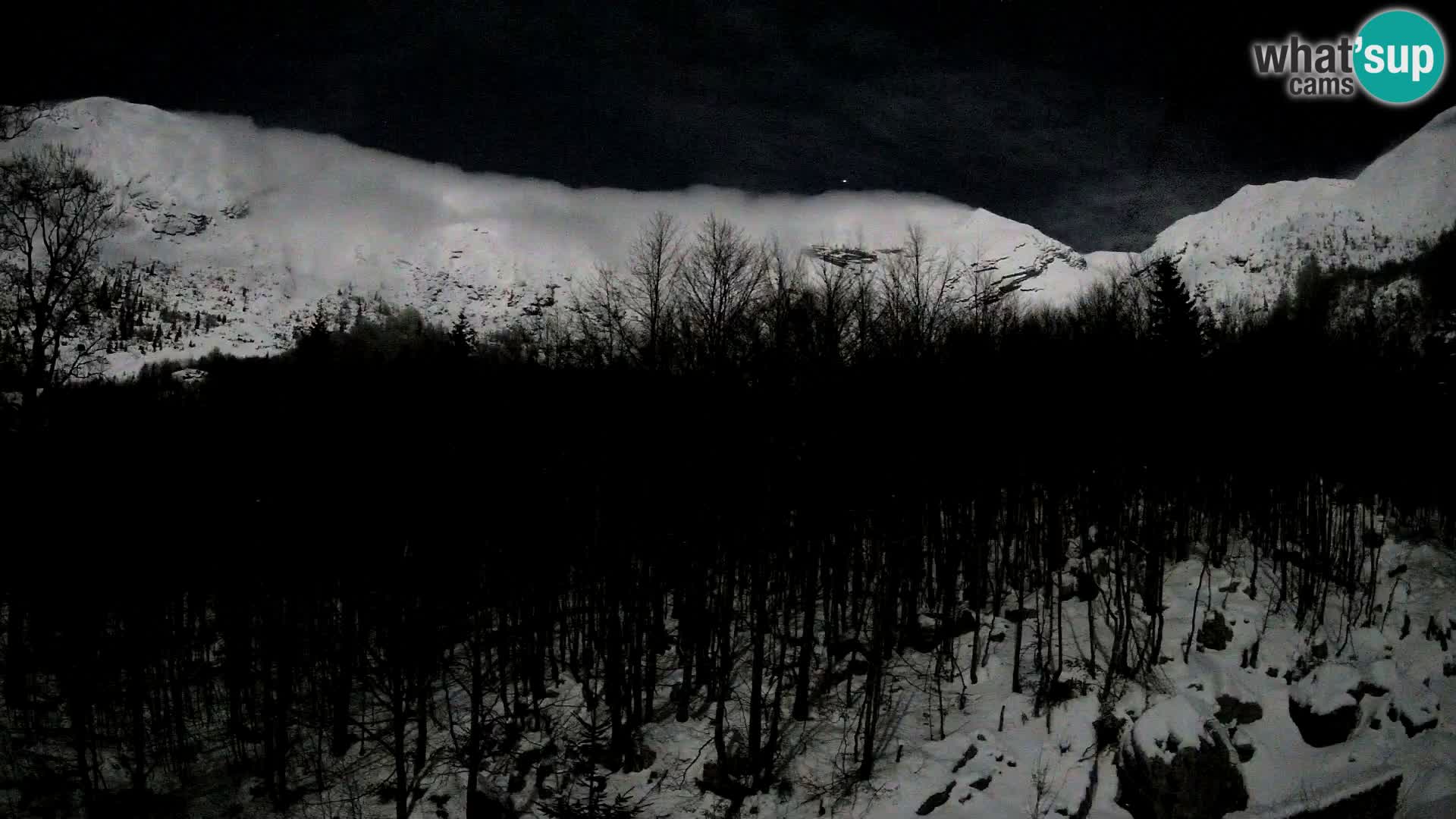 PLANINA RAZOR web kamera (1315) | pogled na Vogel i Globoko