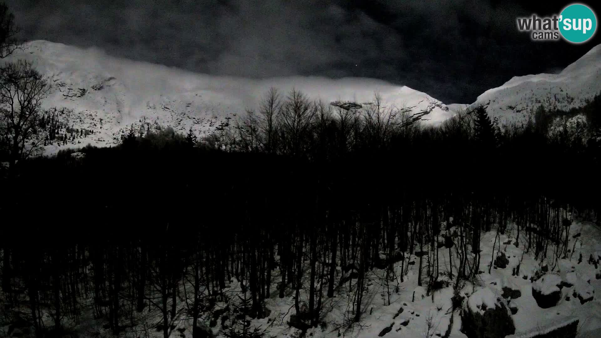 Livecam PLANINA RAZOR (1315) | vue sur Vogel et Globoko