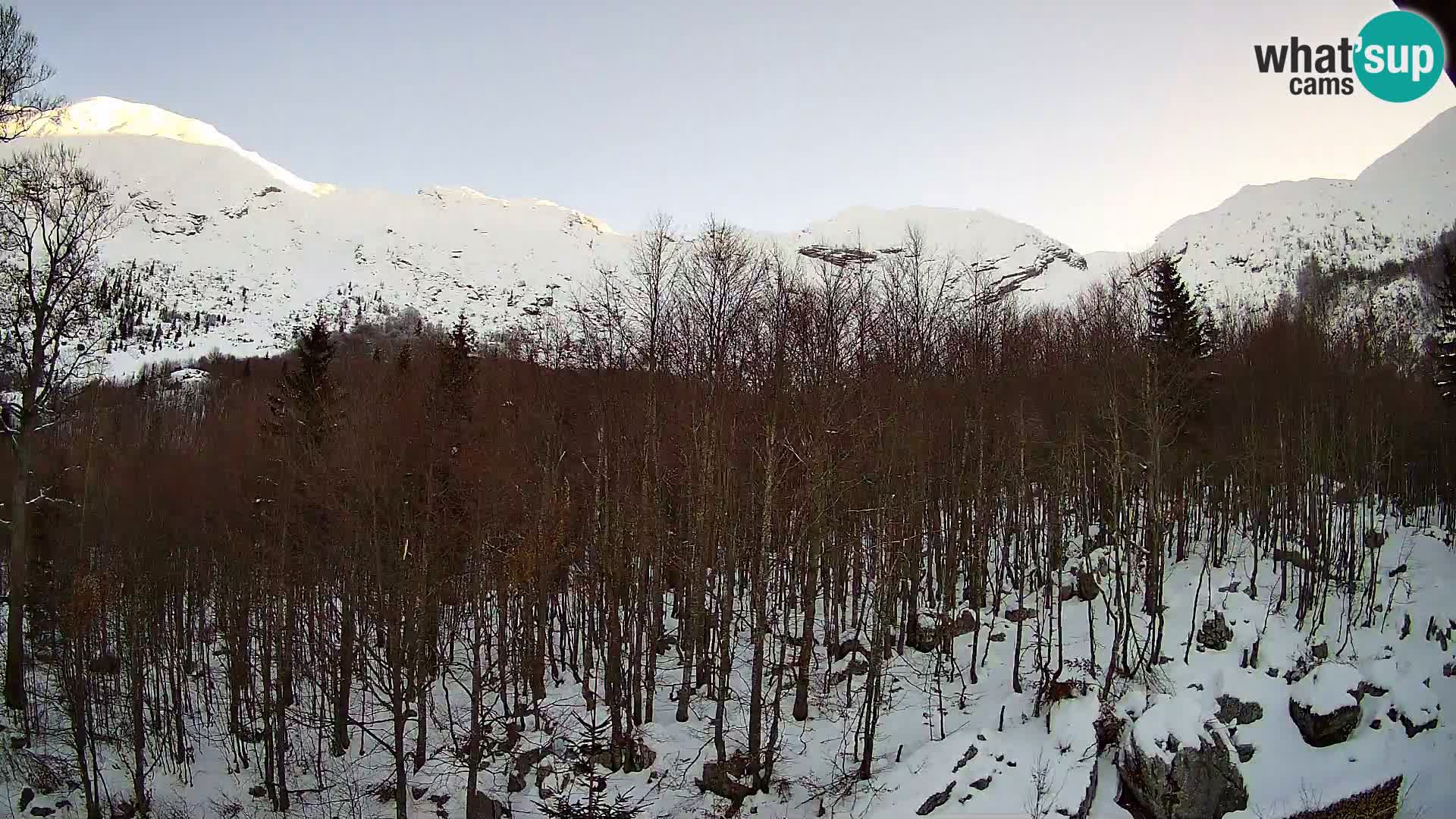 Cámara web PLANINA RAZOR (1315) | vista a Vogel y Globoko