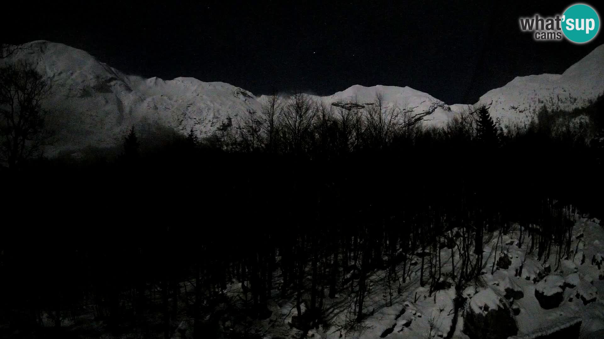 Webcam PLANINA RAZOR (1315) | Blick auf Vogel und Globoko