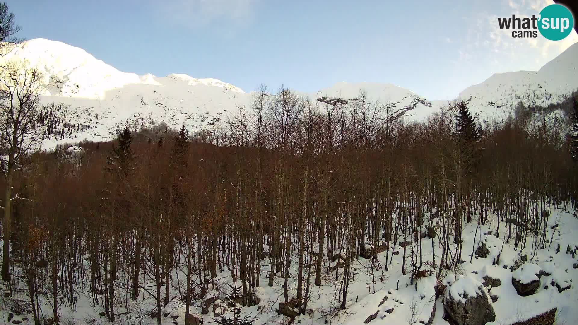 PLANINA RAZOR kamera (1315) | pogled na Vogel in Globoko