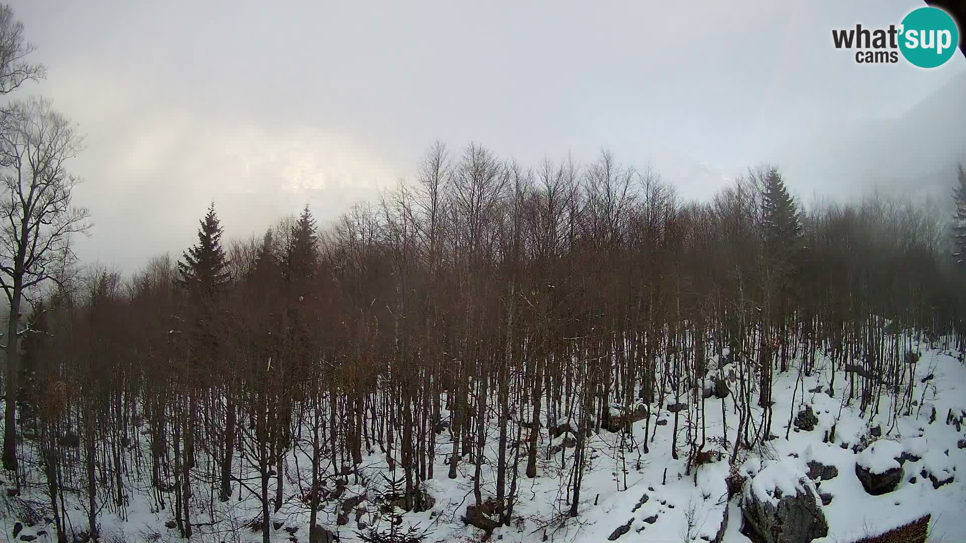 Livecam PLANINA RAZOR (1315) | vue sur Vogel et Globoko