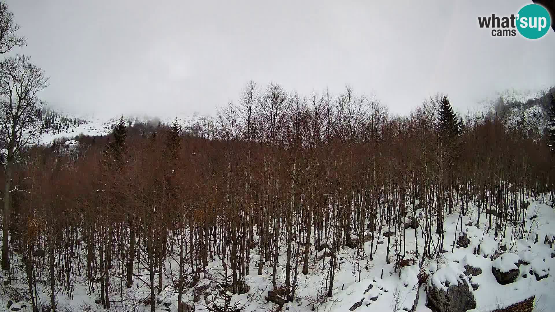 PLANINA RAZOR webcam (1315) | view to Vogel and Globoko