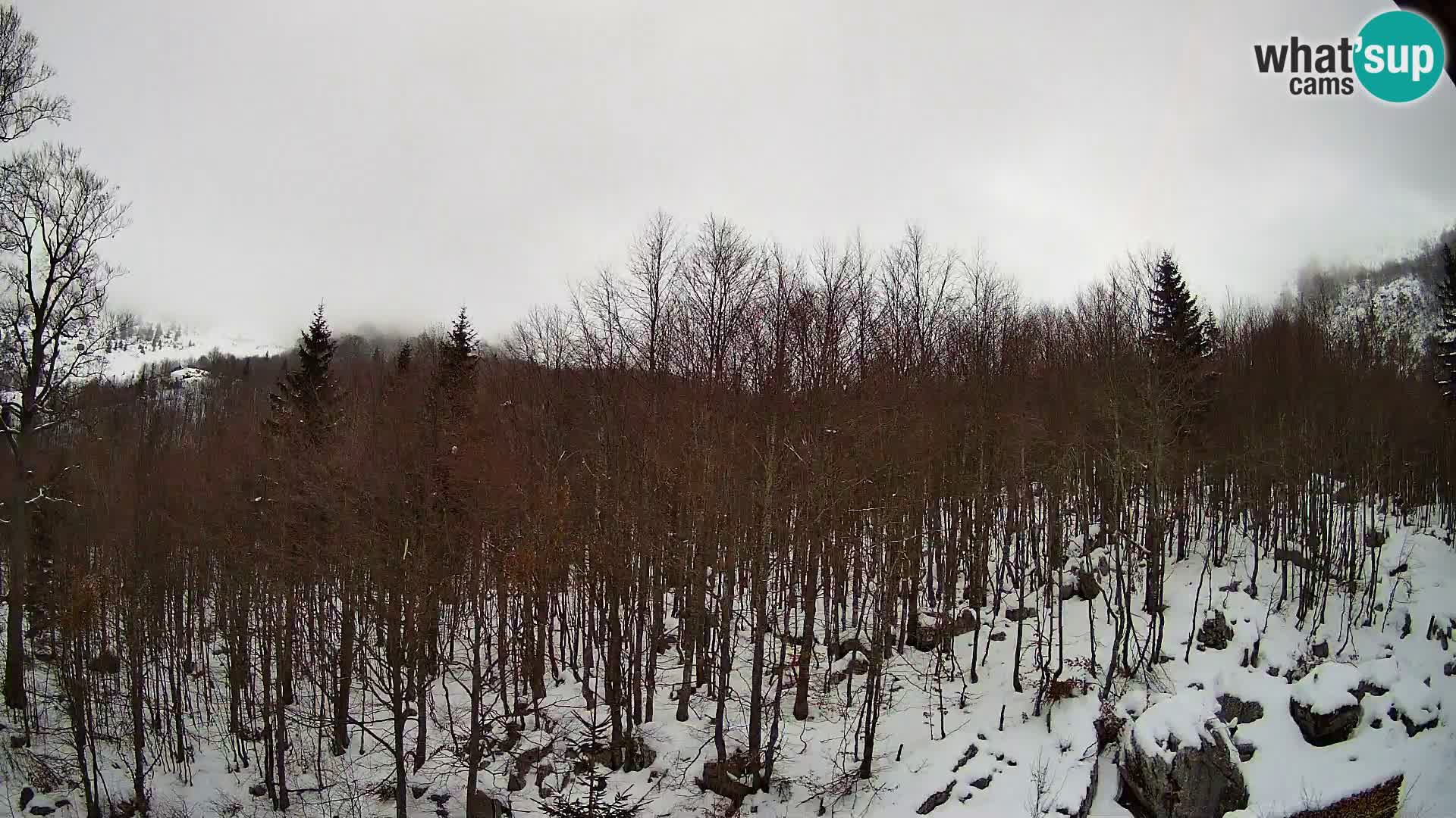 Webcam PLANINA RAZOR (1315) | Blick auf Vogel und Globoko