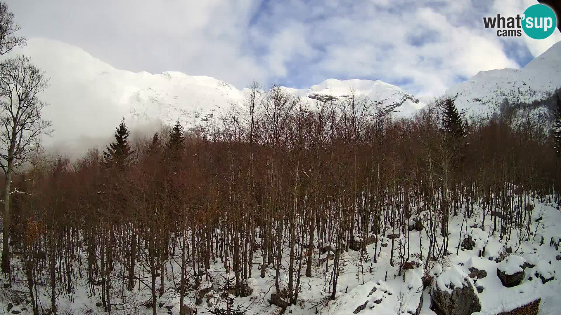 PLANINA RAZOR kamera (1315) | pogled na Vogel in Globoko