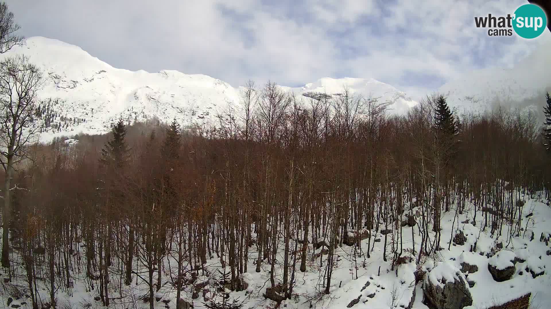 PLANINA RAZOR web kamera (1315) | pogled na Vogel i Globoko