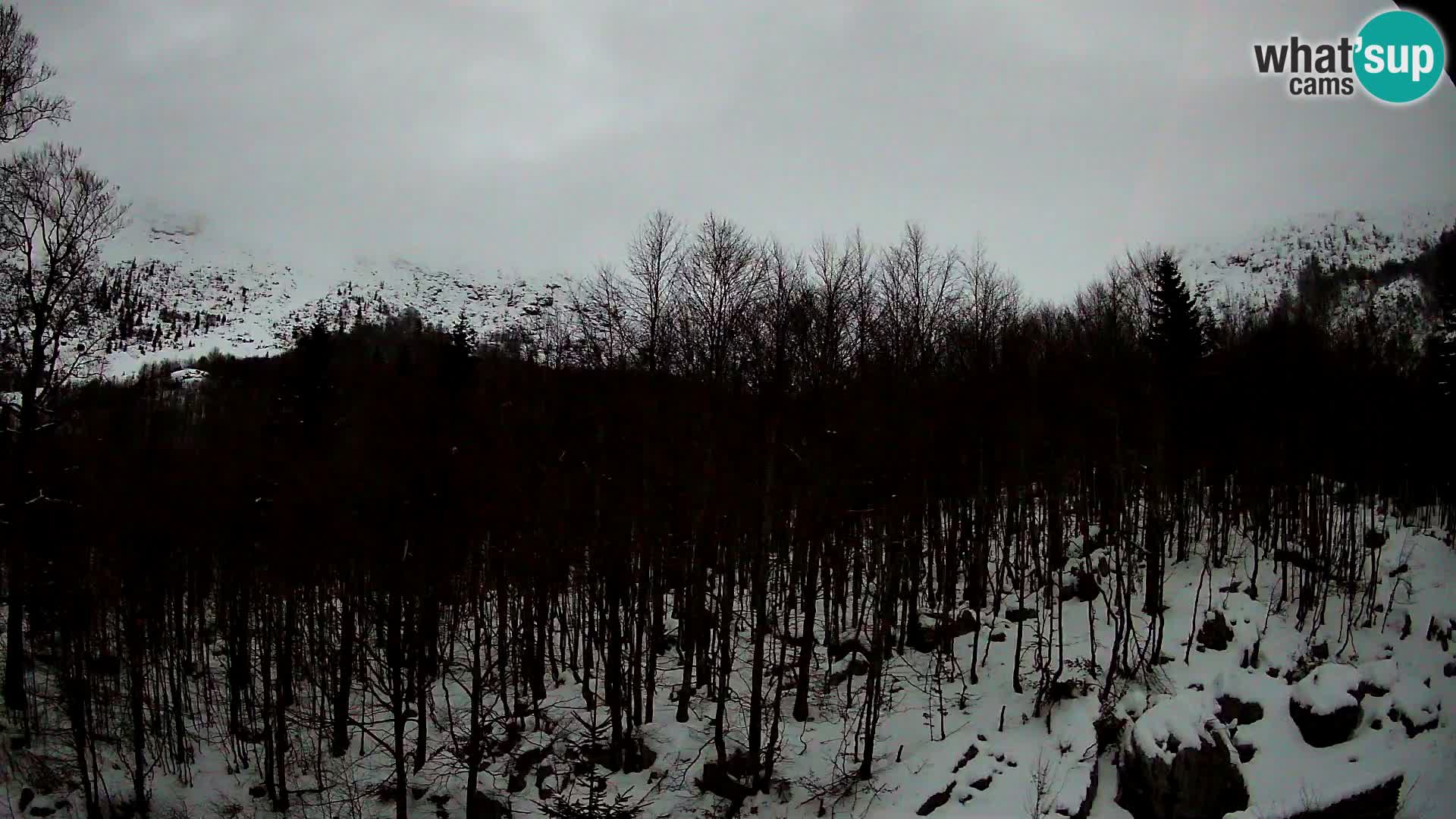 Webcam PLANINA RAZOR (1315) | Blick auf Vogel und Globoko