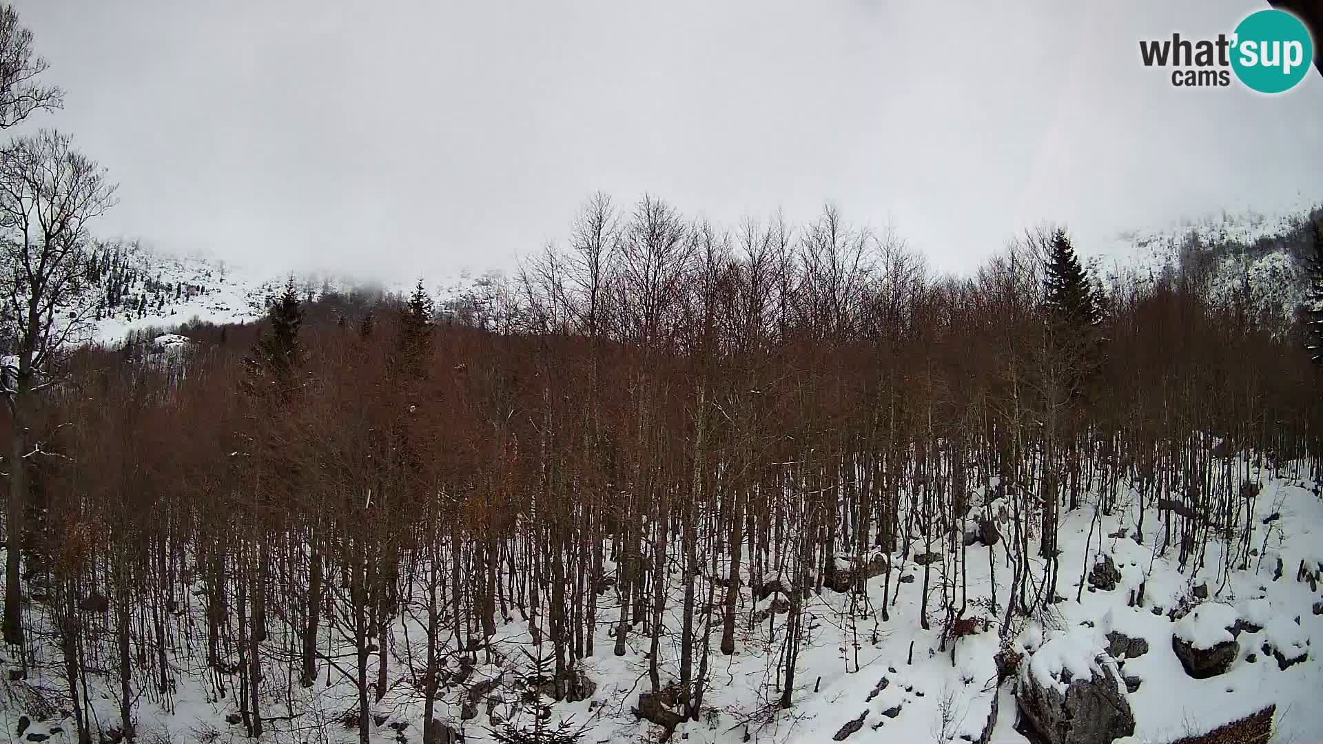 PLANINA RAZOR Live Cam (1315) | vista su Vogel e Globoko