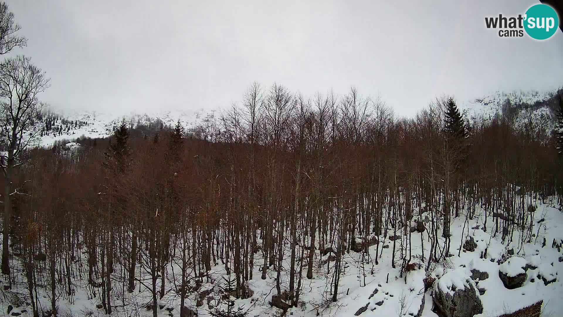 Cámara web PLANINA RAZOR (1315) | vista a Vogel y Globoko