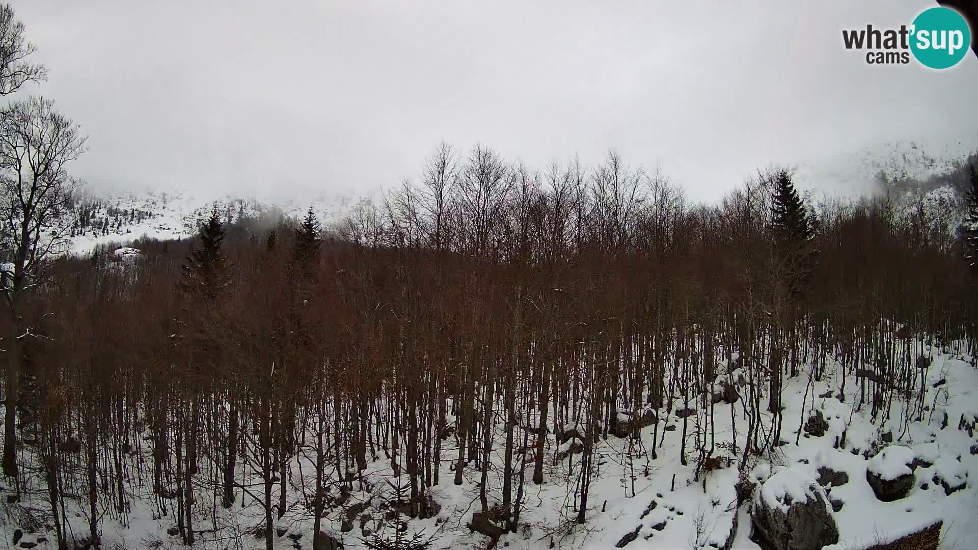Webcam PLANINA RAZOR (1315) | Blick auf Vogel und Globoko