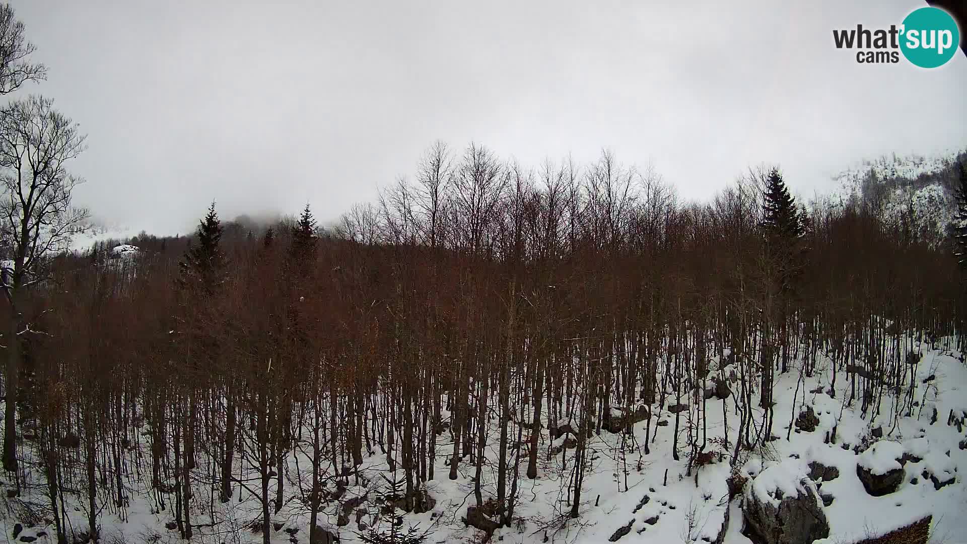 Livecam PLANINA RAZOR (1315) | vue sur Vogel et Globoko