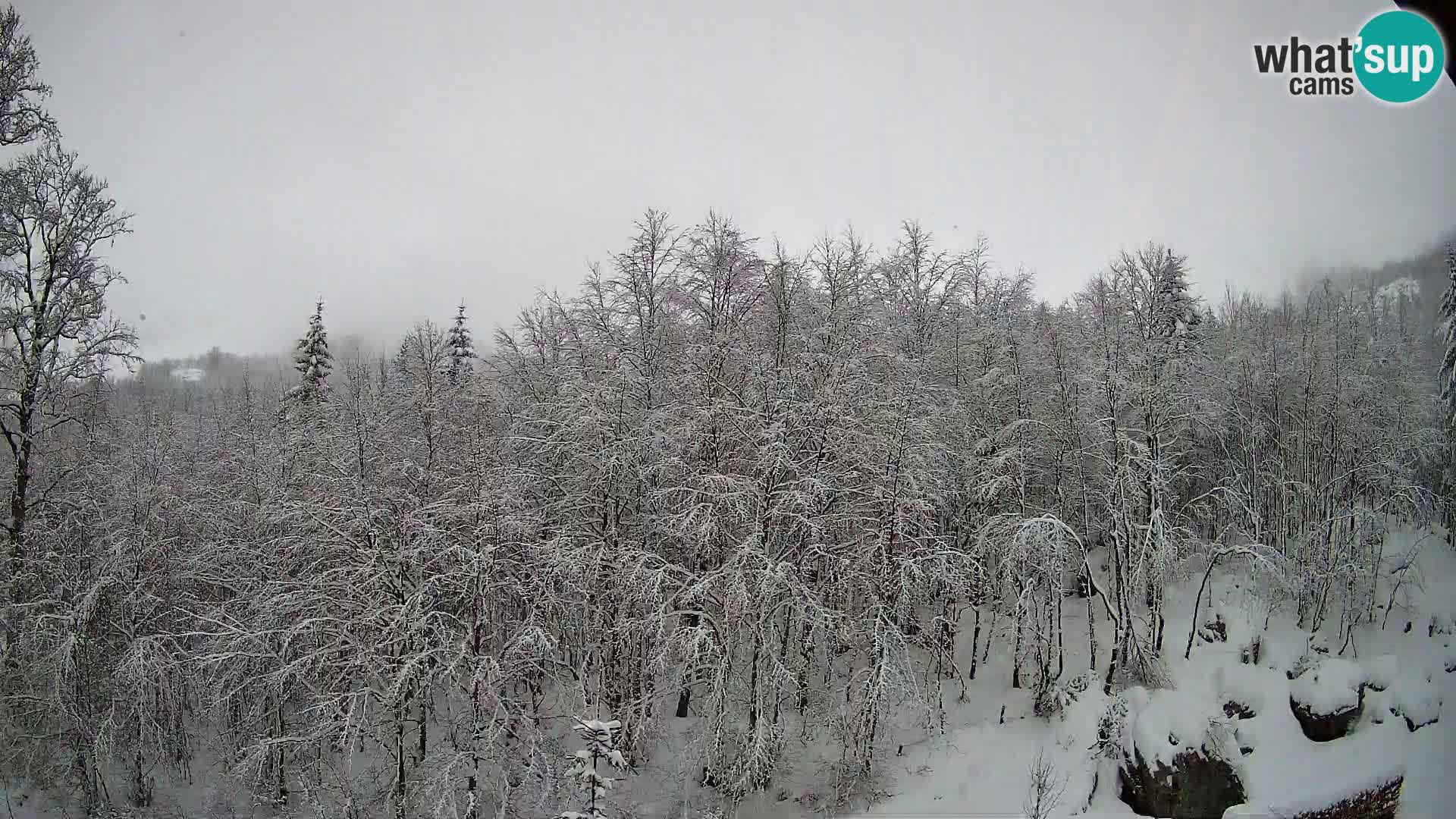 PLANINA RAZOR webcam (1315) | view to Vogel and Globoko