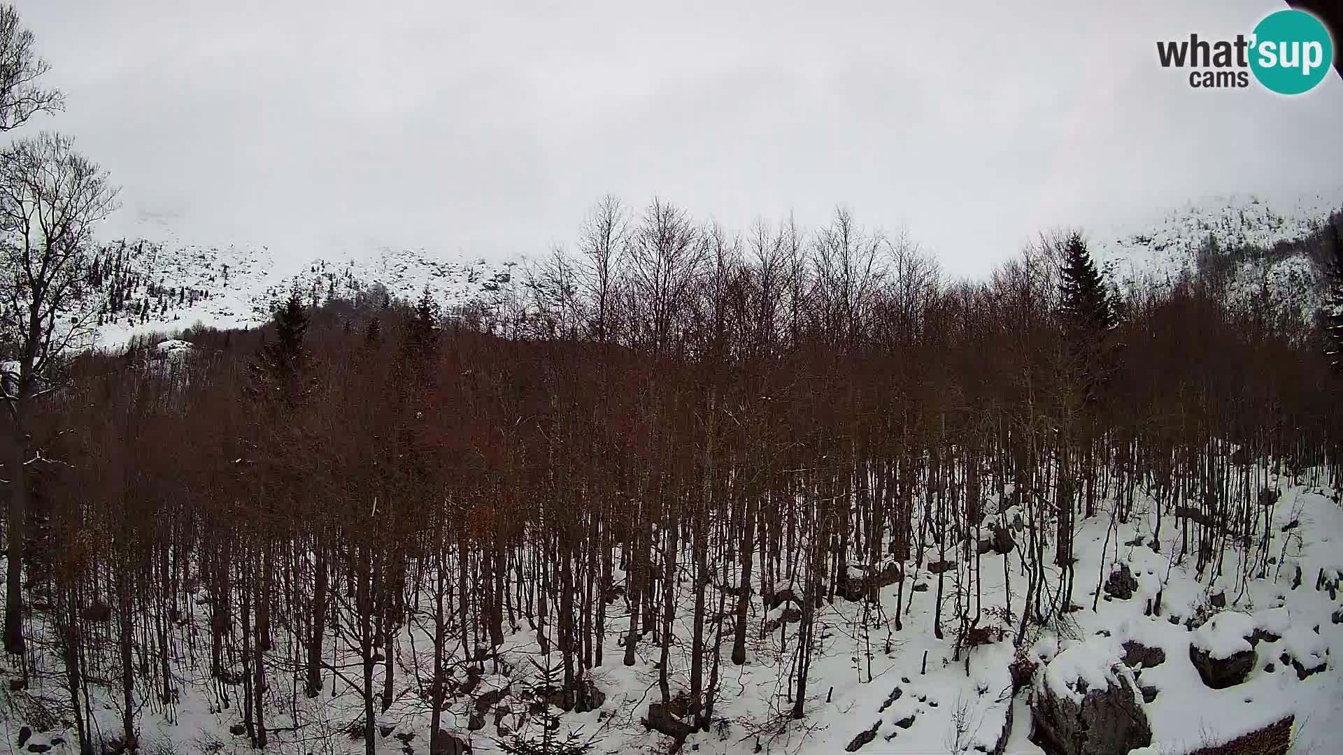 Webcam PLANINA RAZOR (1315) | Blick auf Vogel und Globoko