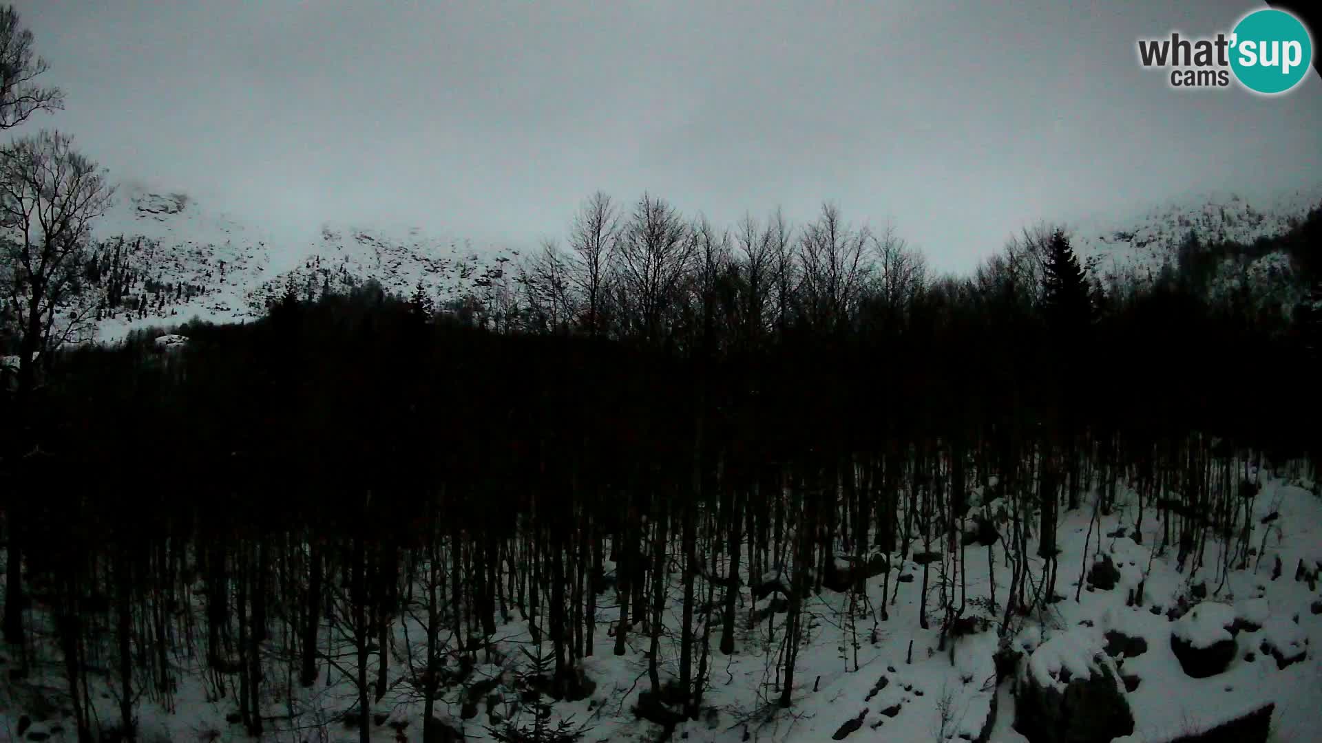 PLANINA RAZOR webcam (1315) | view to Vogel and Globoko