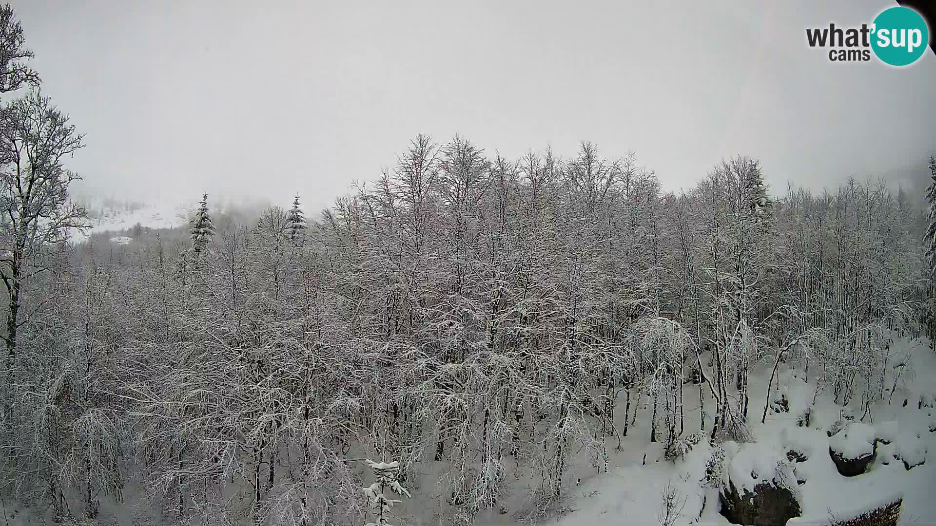 Webcam PLANINA RAZOR (1315) | Blick auf Vogel und Globoko
