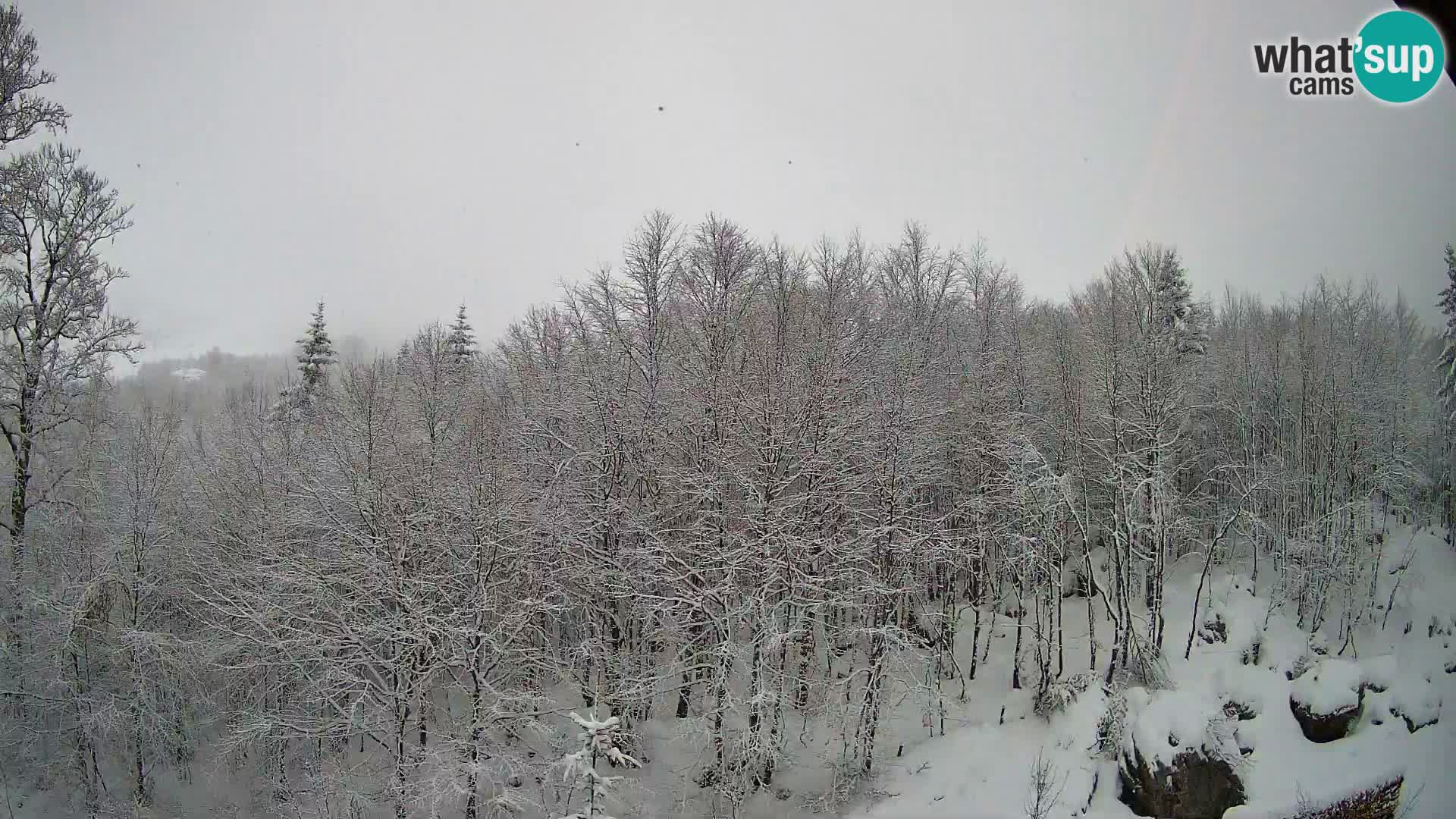 PLANINA RAZOR web kamera (1315) | pogled na Vogel i Globoko