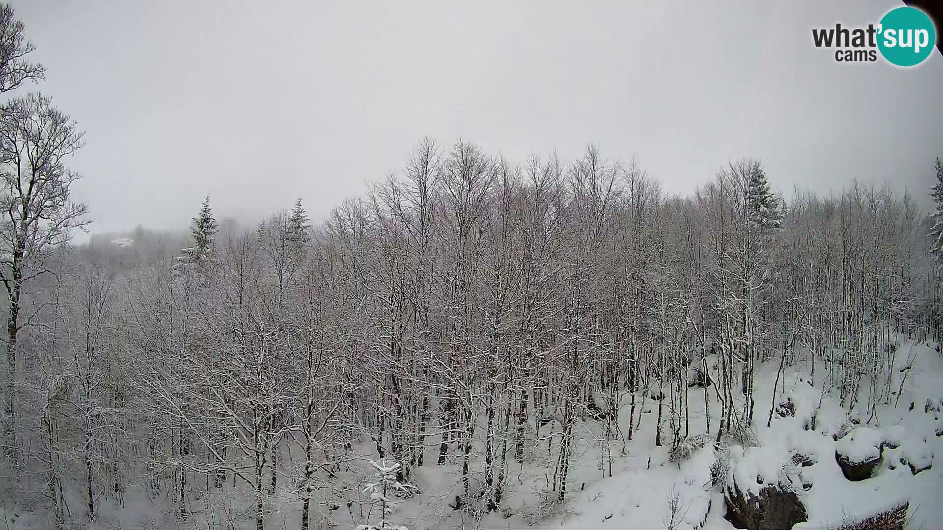 PLANINA RAZOR Live Cam (1315) | vista su Vogel e Globoko