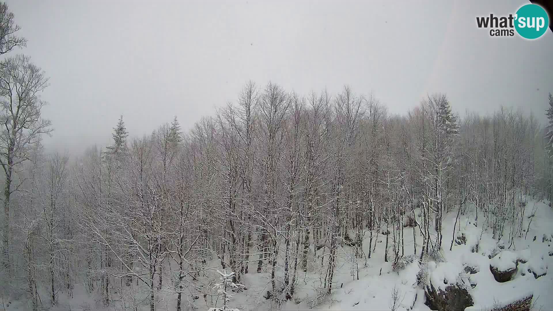 PLANINA RAZOR webcam (1315) | view to Vogel and Globoko