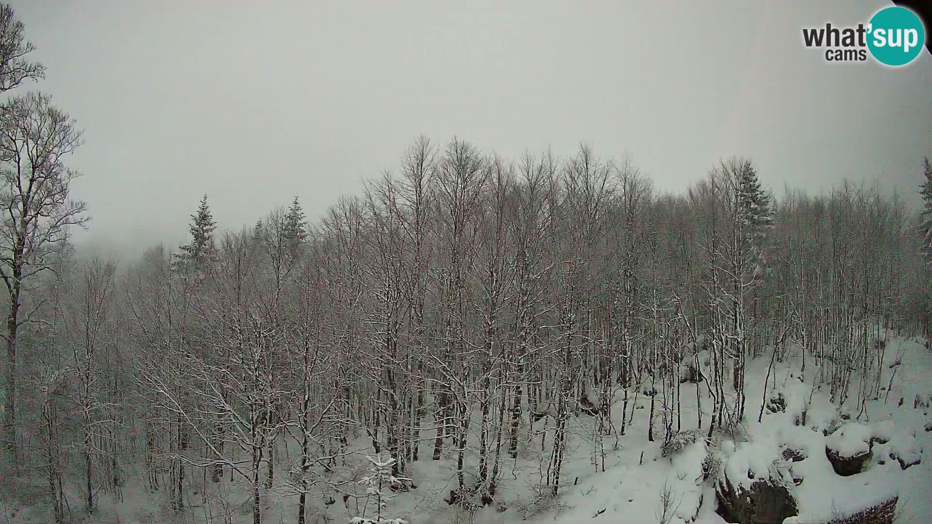 PLANINA RAZOR Live Cam (1315) | vista su Vogel e Globoko