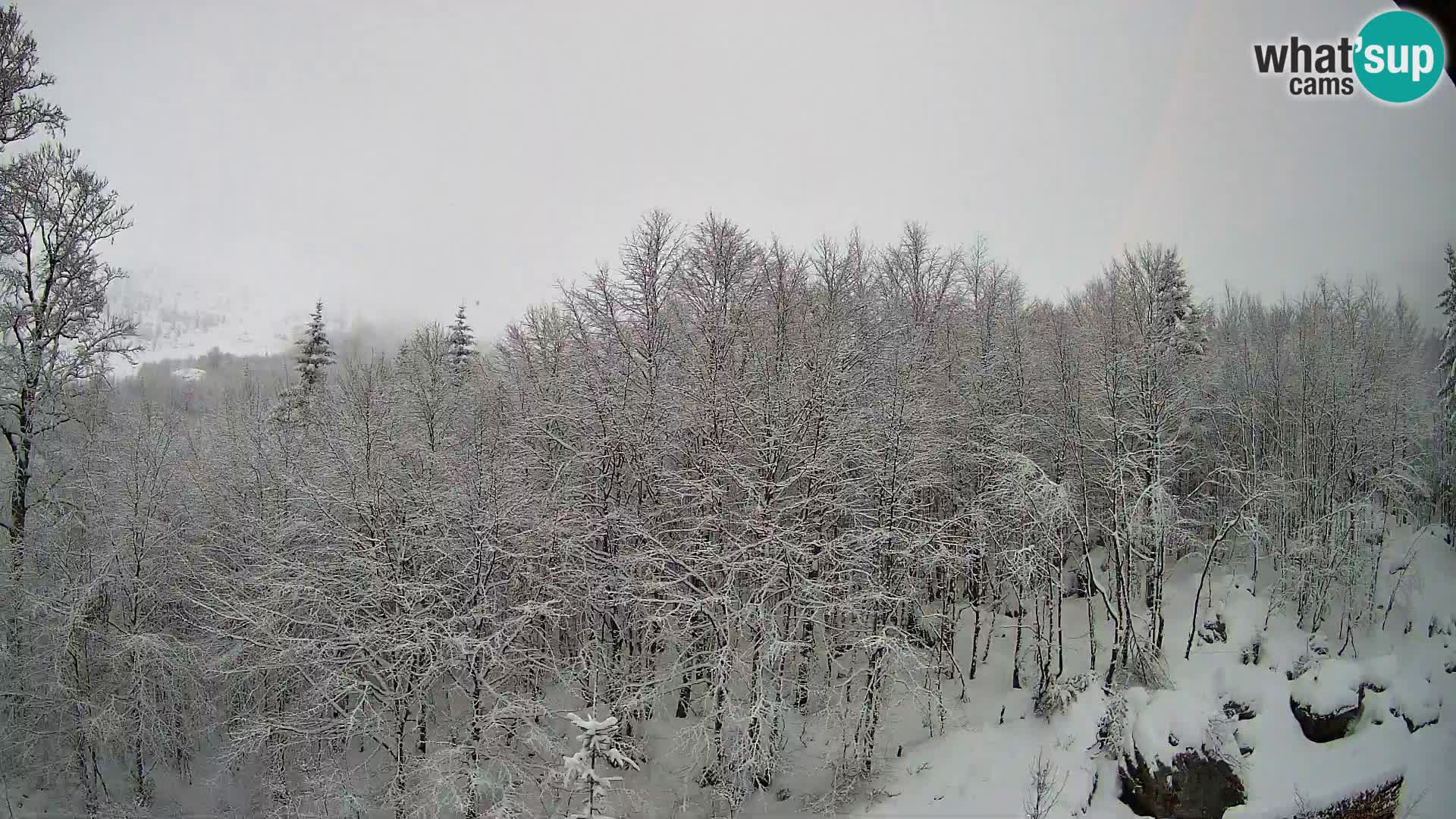 PLANINA RAZOR webcam (1315) | view to Vogel and Globoko