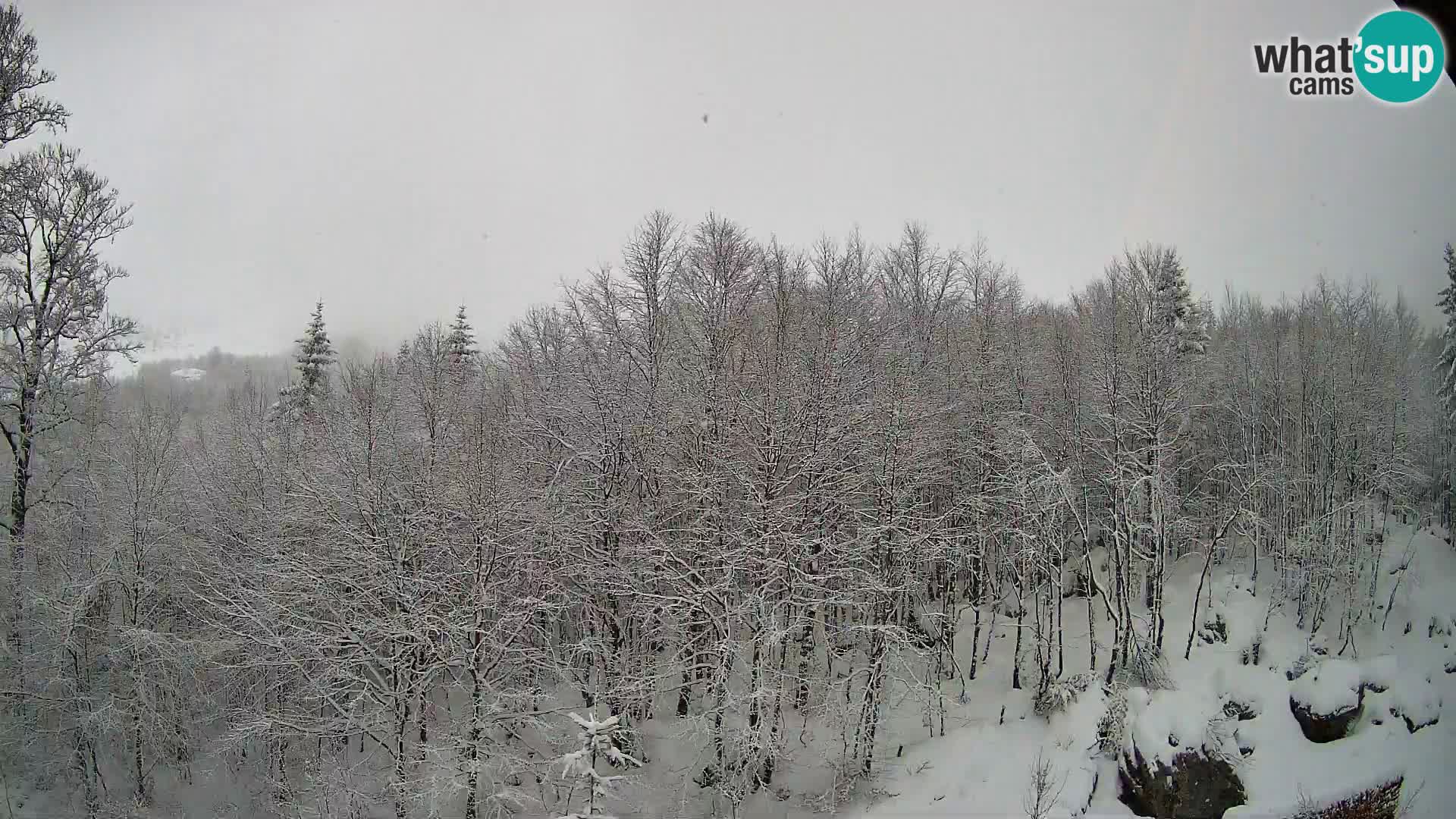 PLANINA RAZOR webcam (1315) | view to Vogel and Globoko