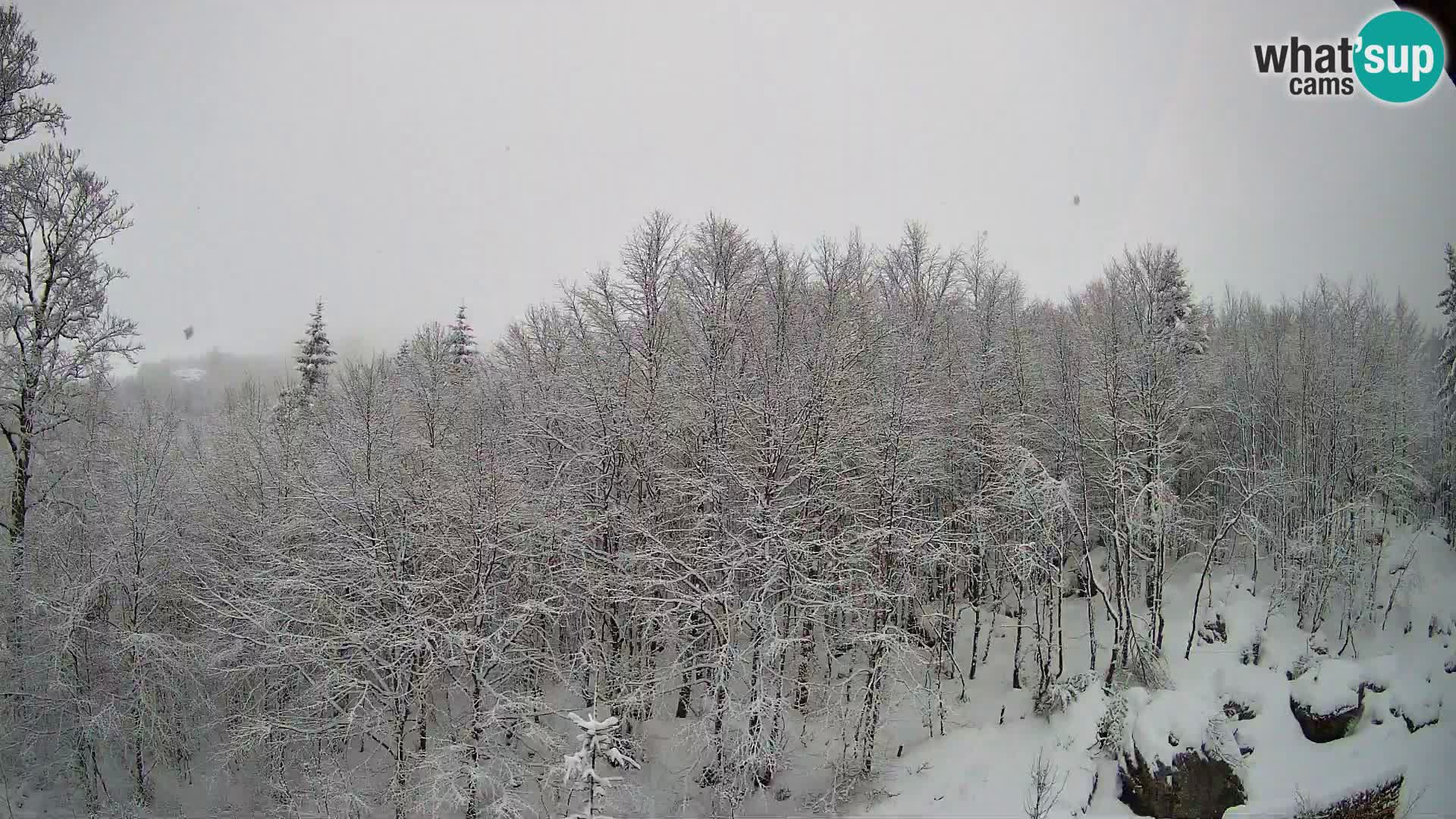 PLANINA RAZOR webcam (1315) | view to Vogel and Globoko