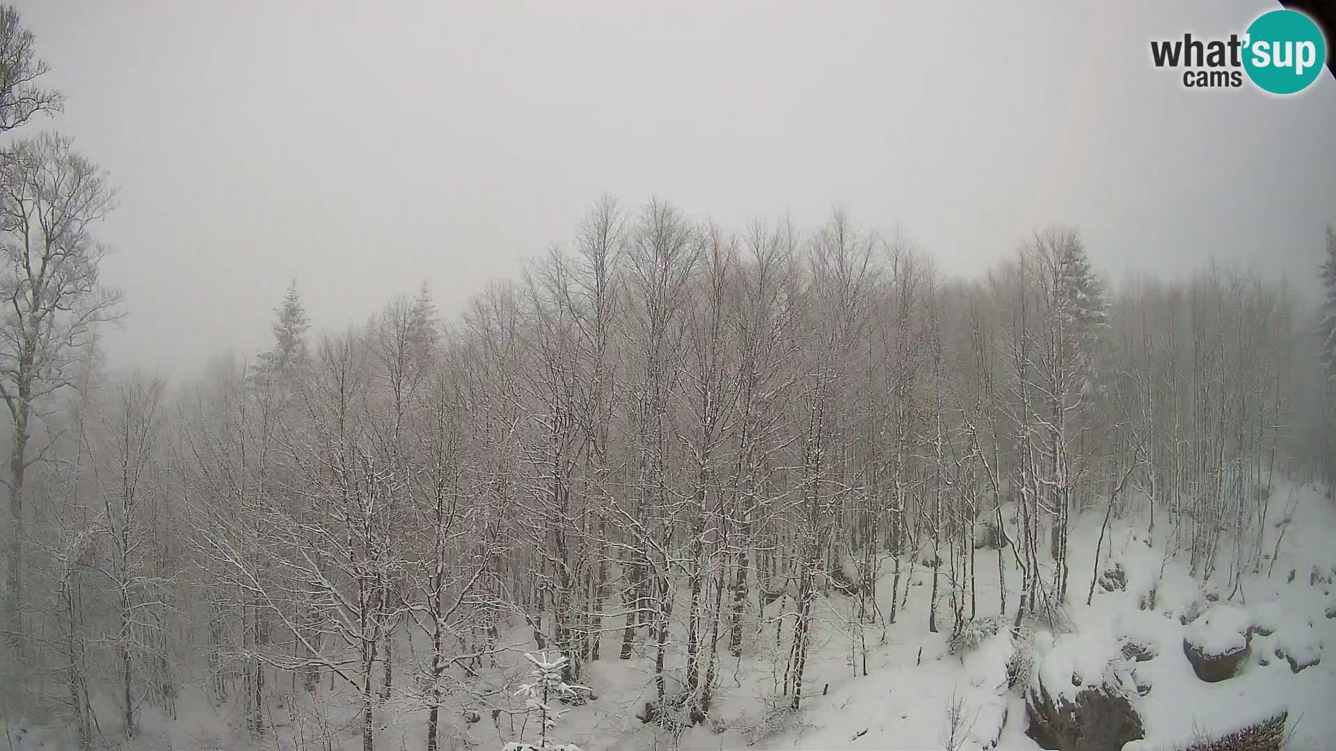 Livecam PLANINA RAZOR (1315) | vue sur Vogel et Globoko