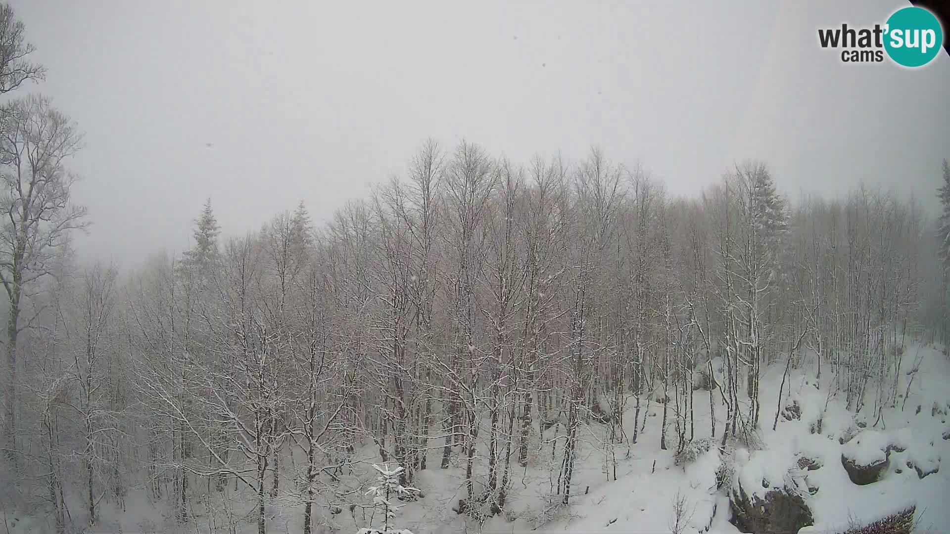Livecam PLANINA RAZOR (1315) | vue sur Vogel et Globoko