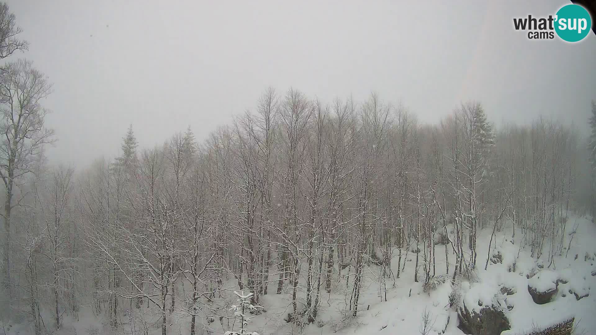 Livecam PLANINA RAZOR (1315) | vue sur Vogel et Globoko