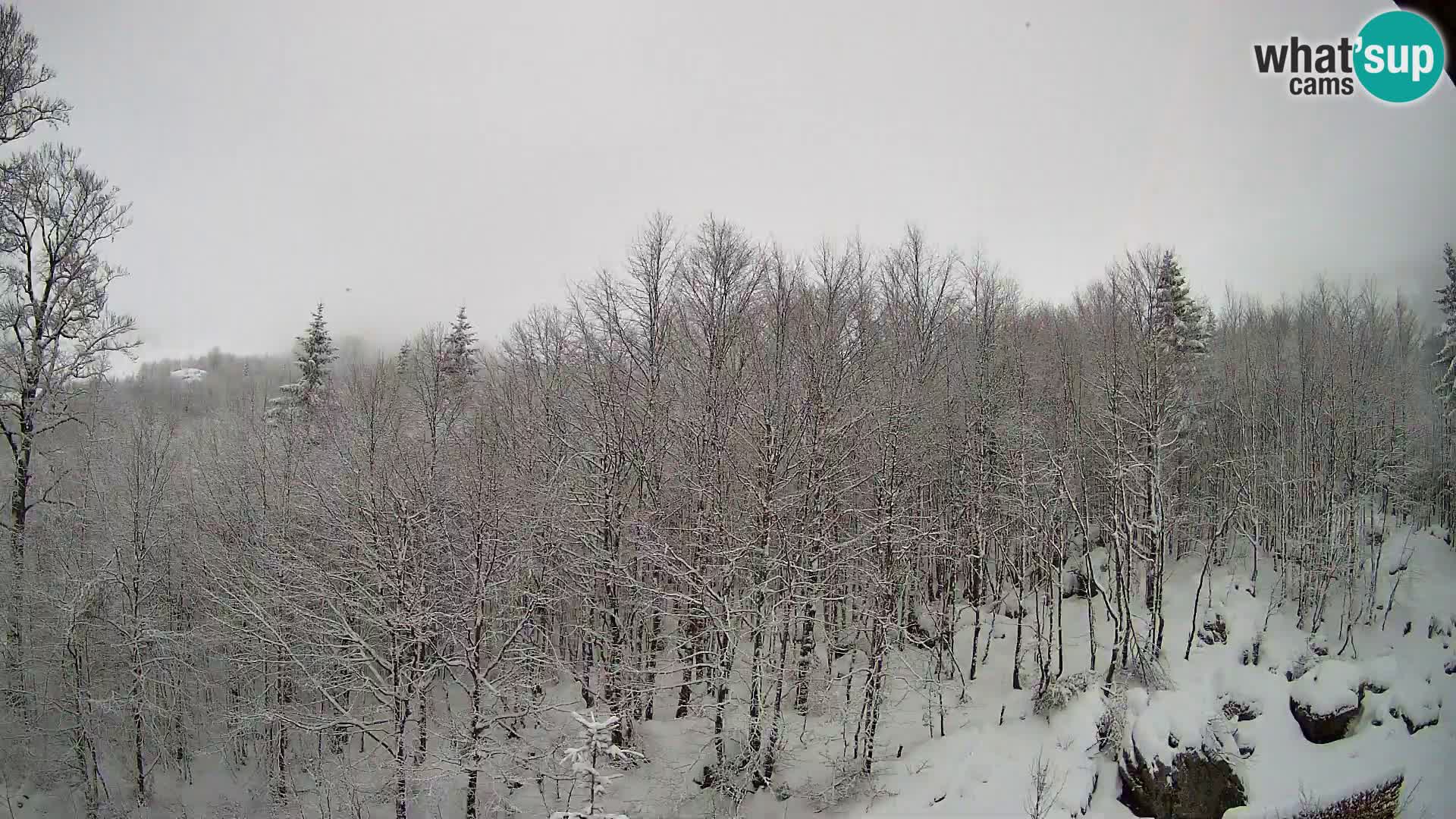 PLANINA RAZOR Live Cam (1315) | vista su Vogel e Globoko