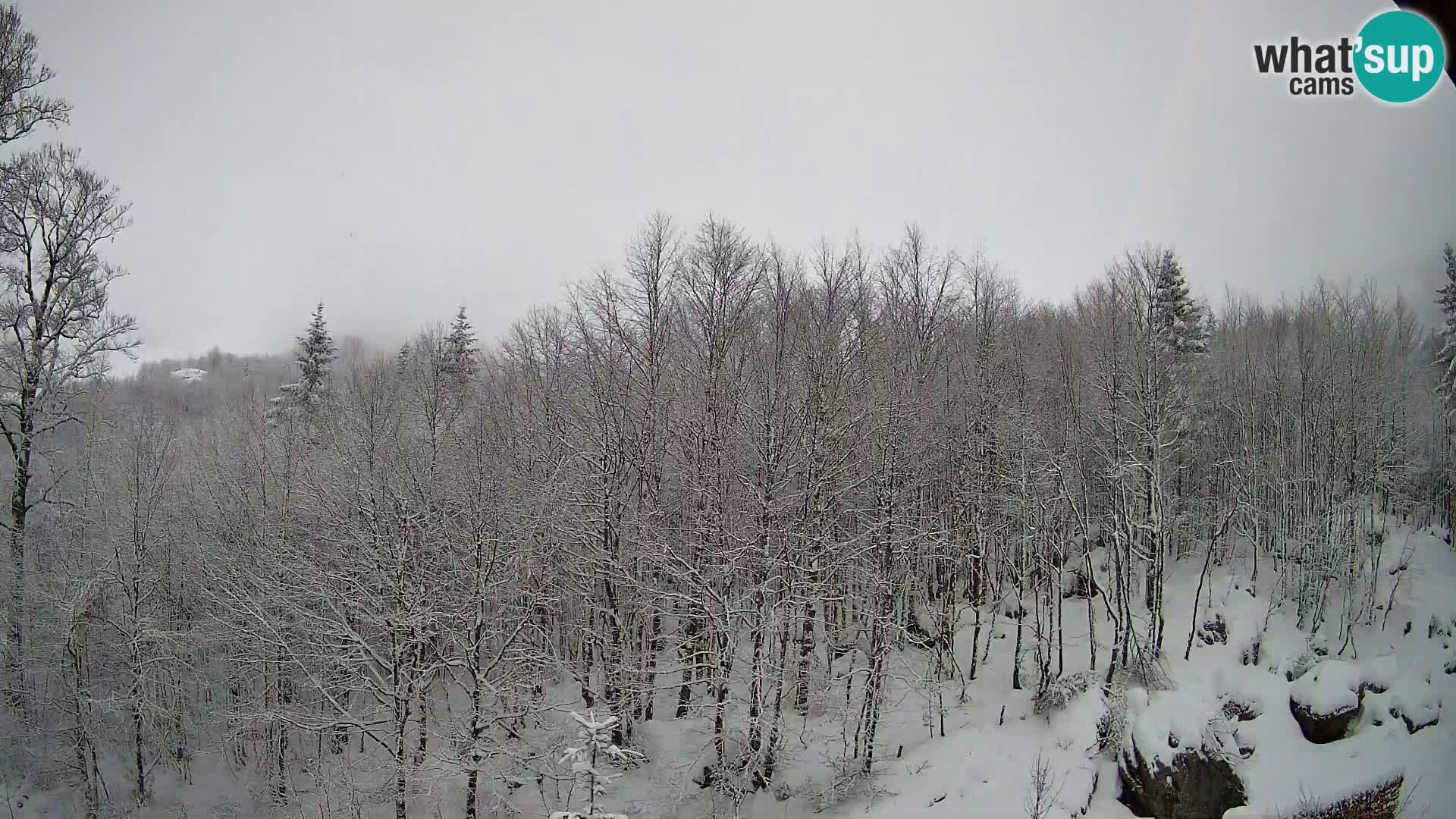 PLANINA RAZOR webcam (1315) | view to Vogel and Globoko