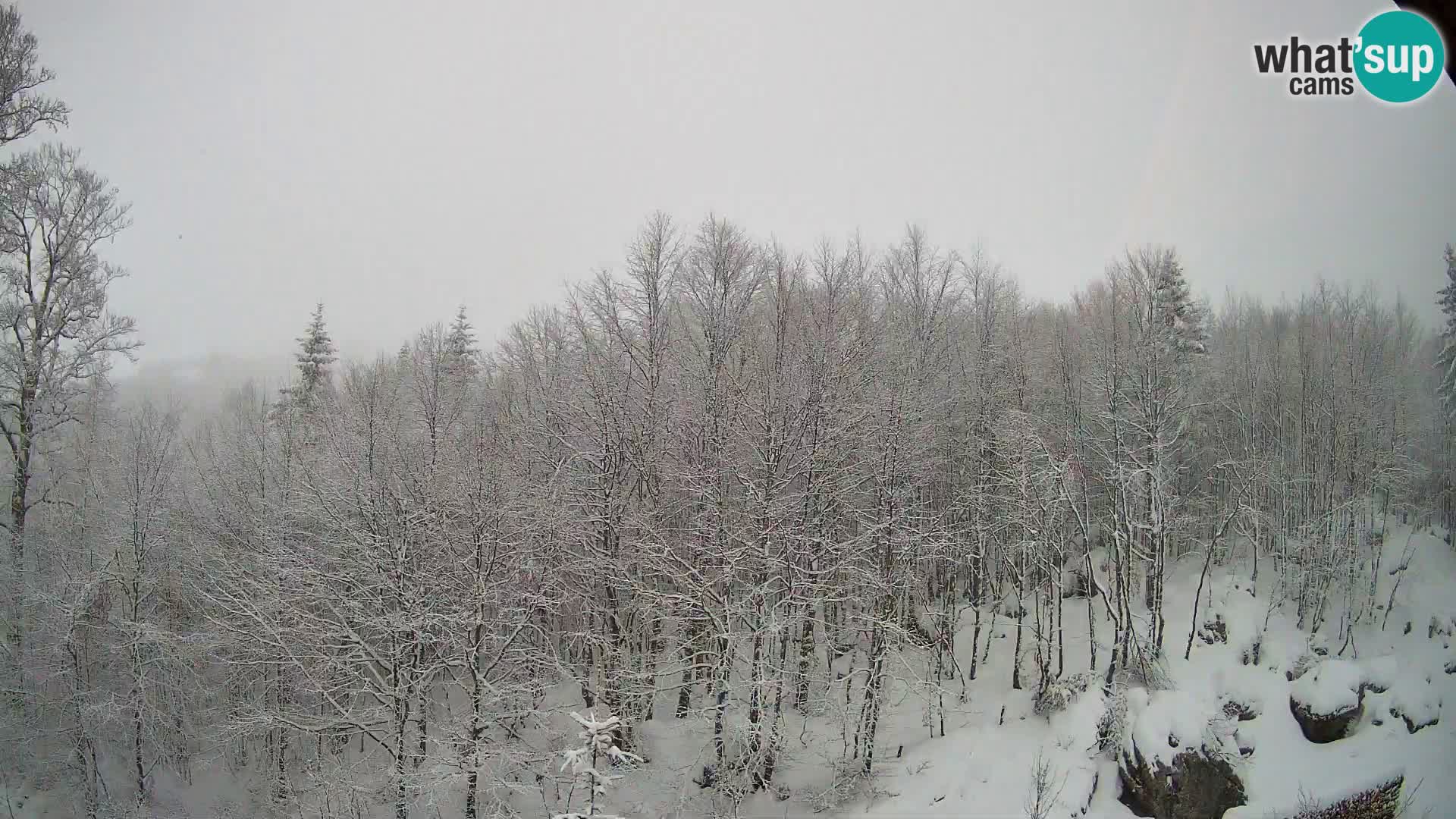 PLANINA RAZOR kamera (1315) | pogled na Vogel in Globoko