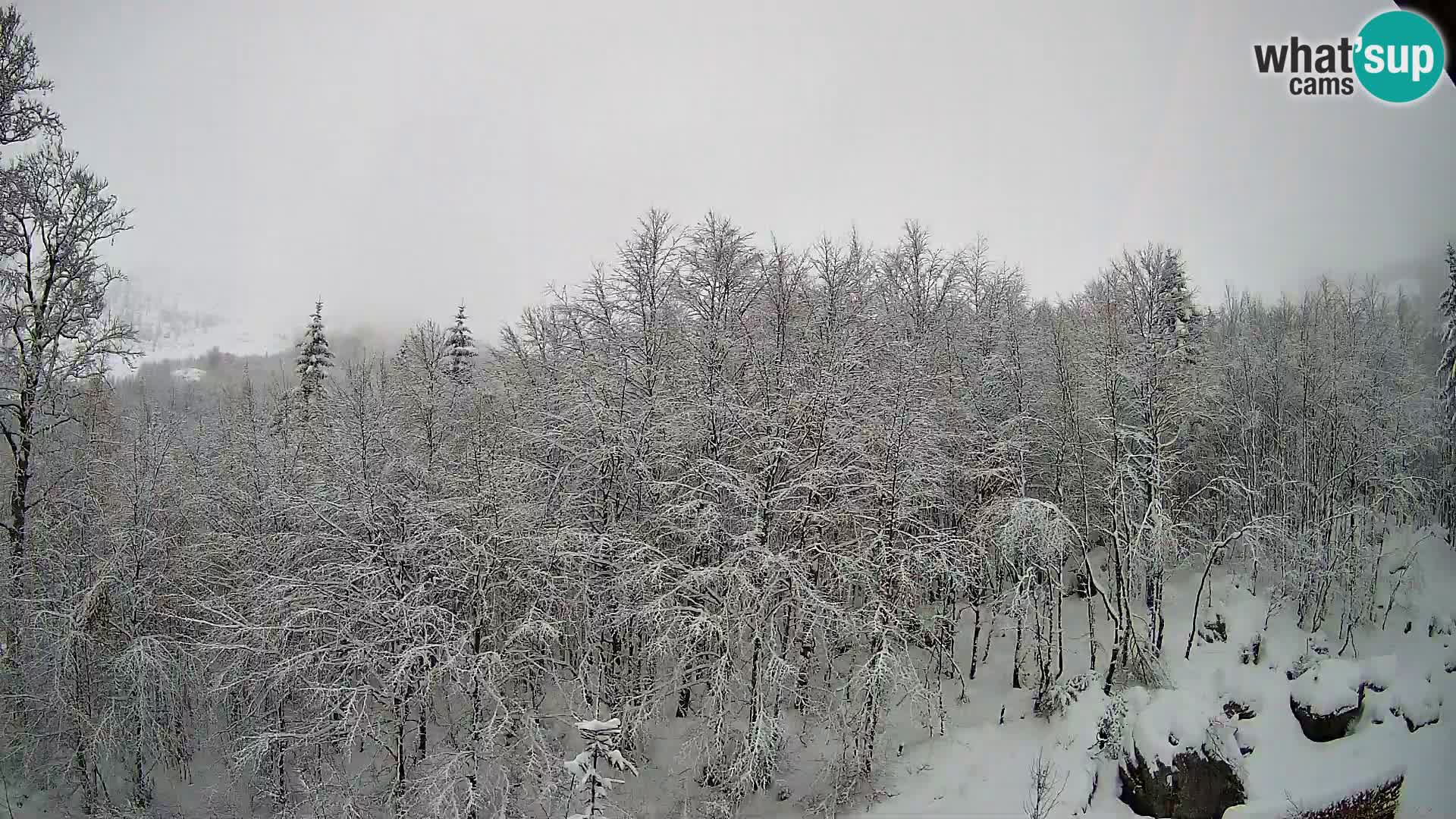 Livecam PLANINA RAZOR (1315) | vue sur Vogel et Globoko