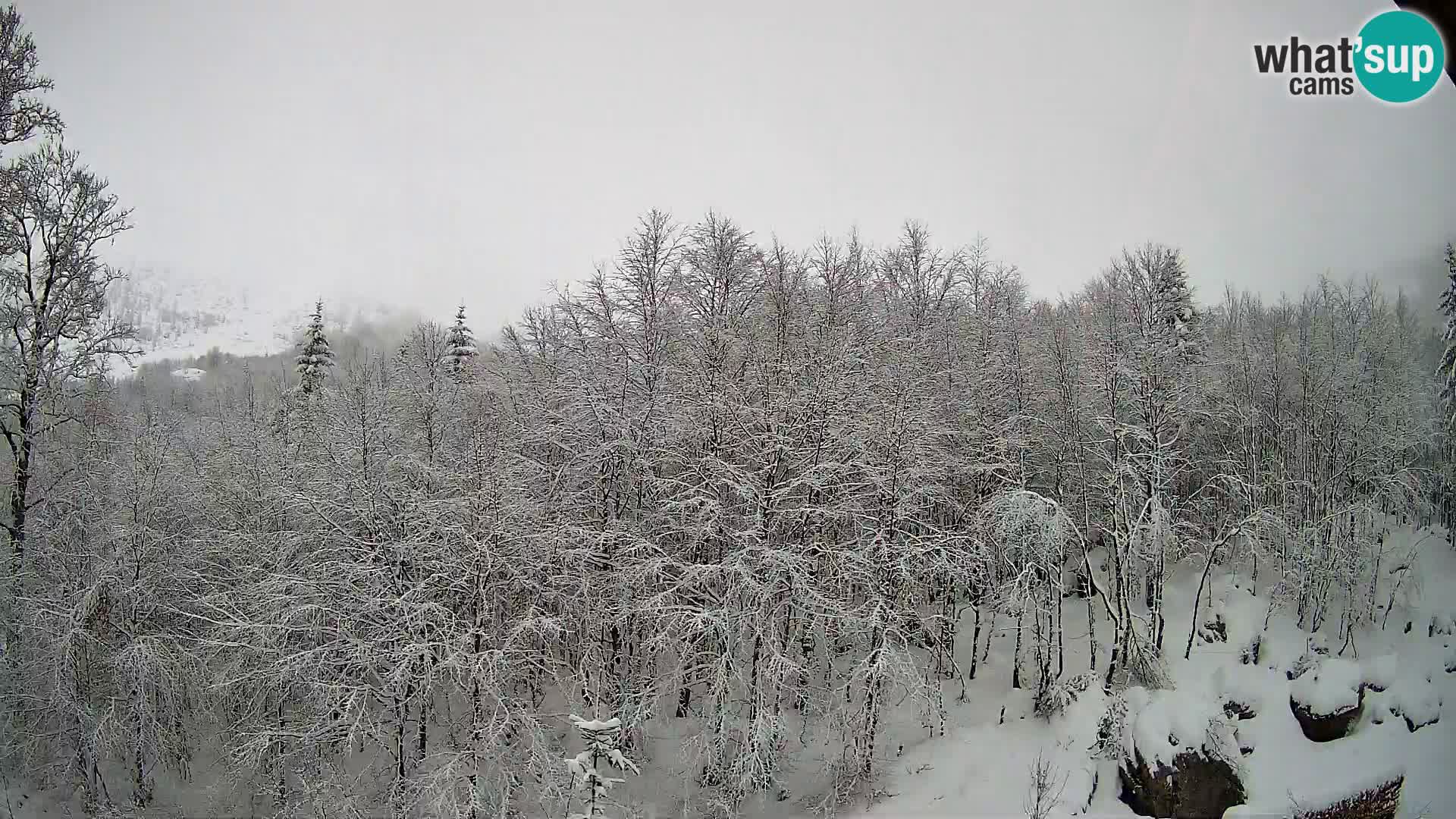 PLANINA RAZOR Live Cam (1315) | vista su Vogel e Globoko