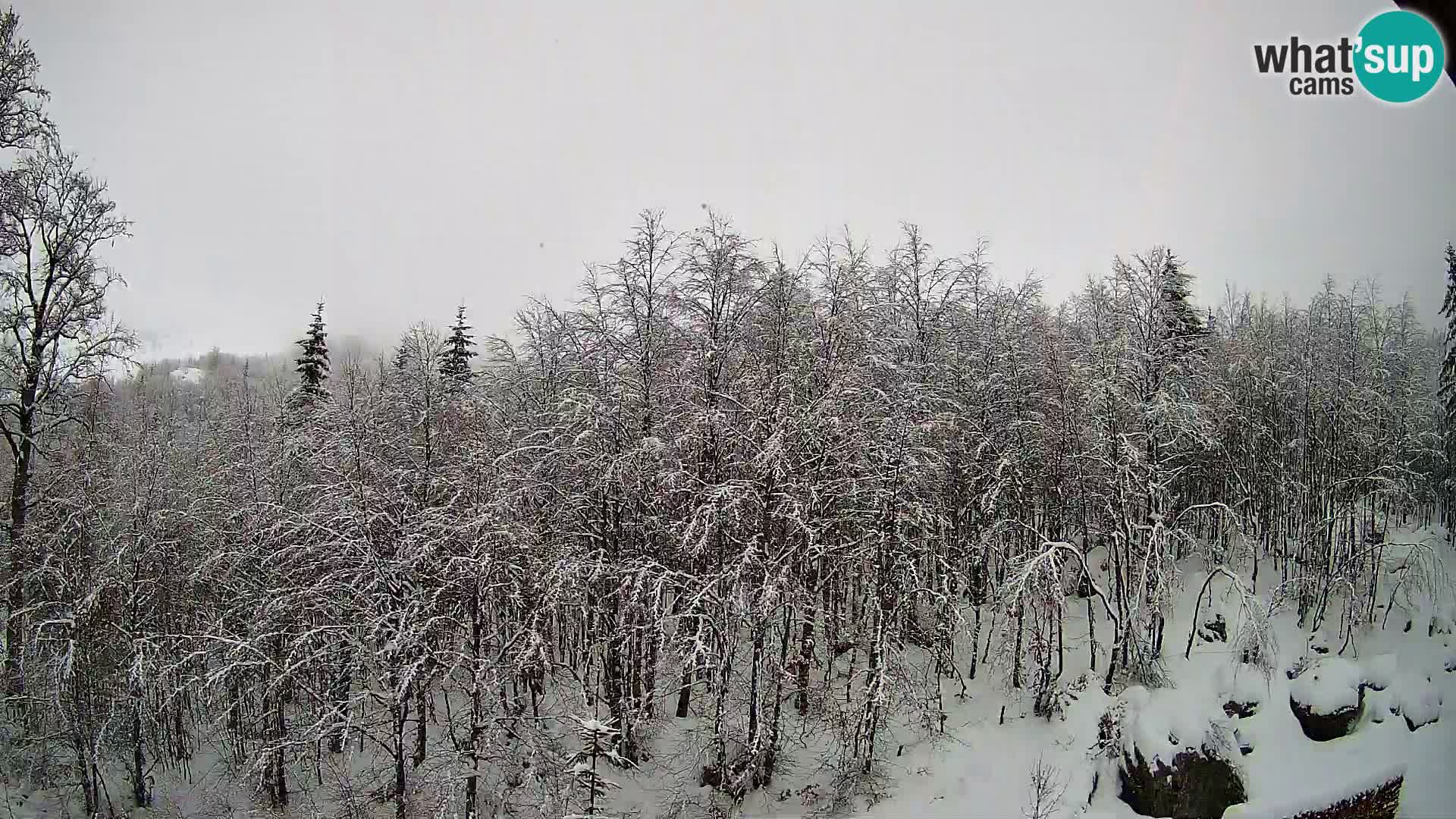 Livecam PLANINA RAZOR (1315) | vue sur Vogel et Globoko
