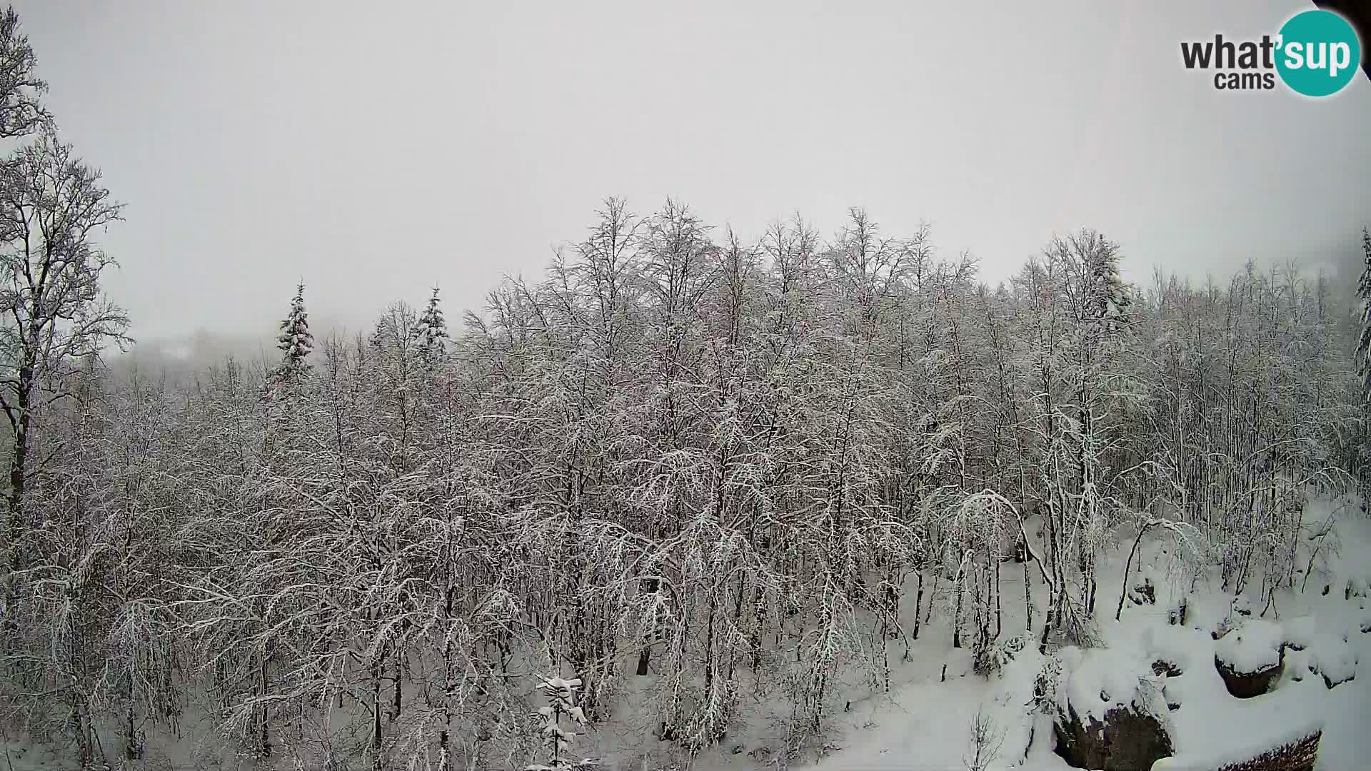 PLANINA RAZOR web kamera (1315) | pogled na Vogel i Globoko