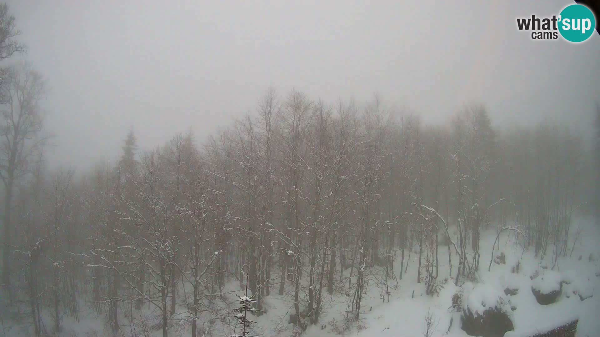 Webcam PLANINA RAZOR (1315) | Blick auf Vogel und Globoko