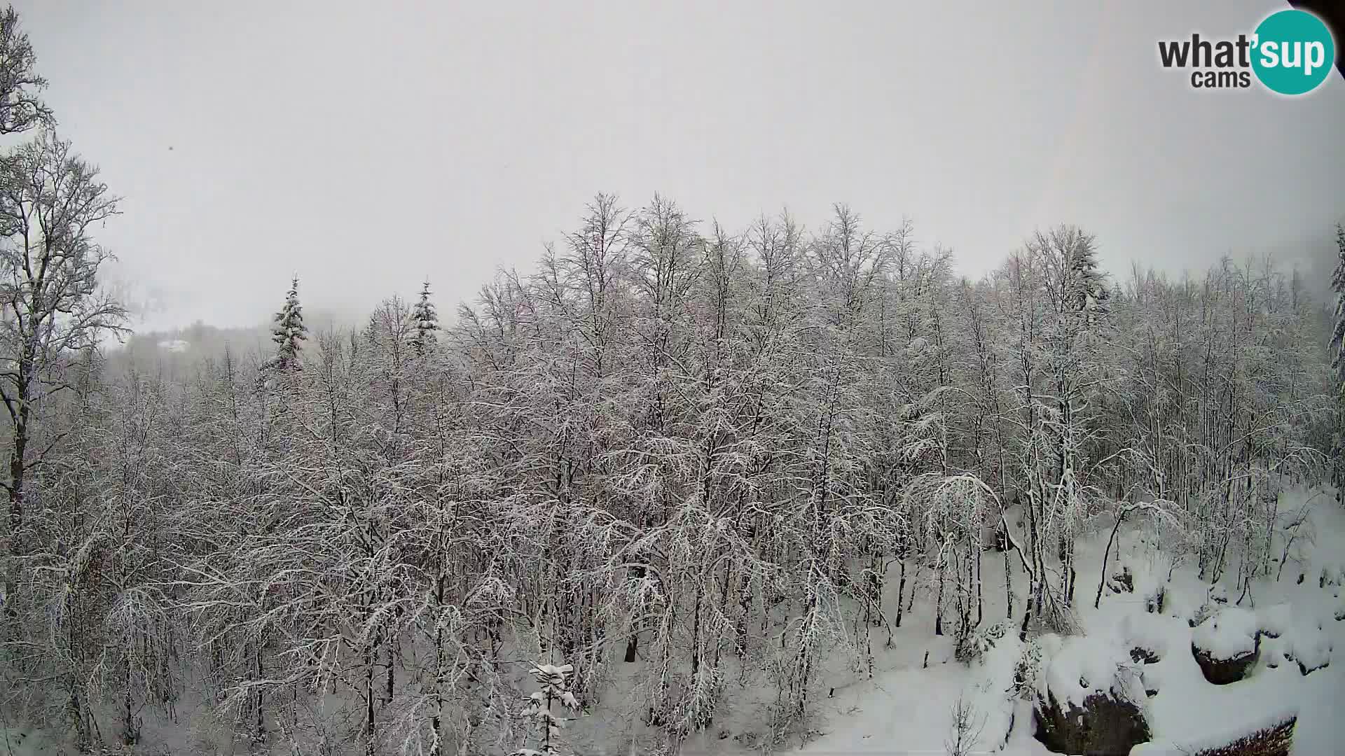 Webcam PLANINA RAZOR (1315) | Blick auf Vogel und Globoko