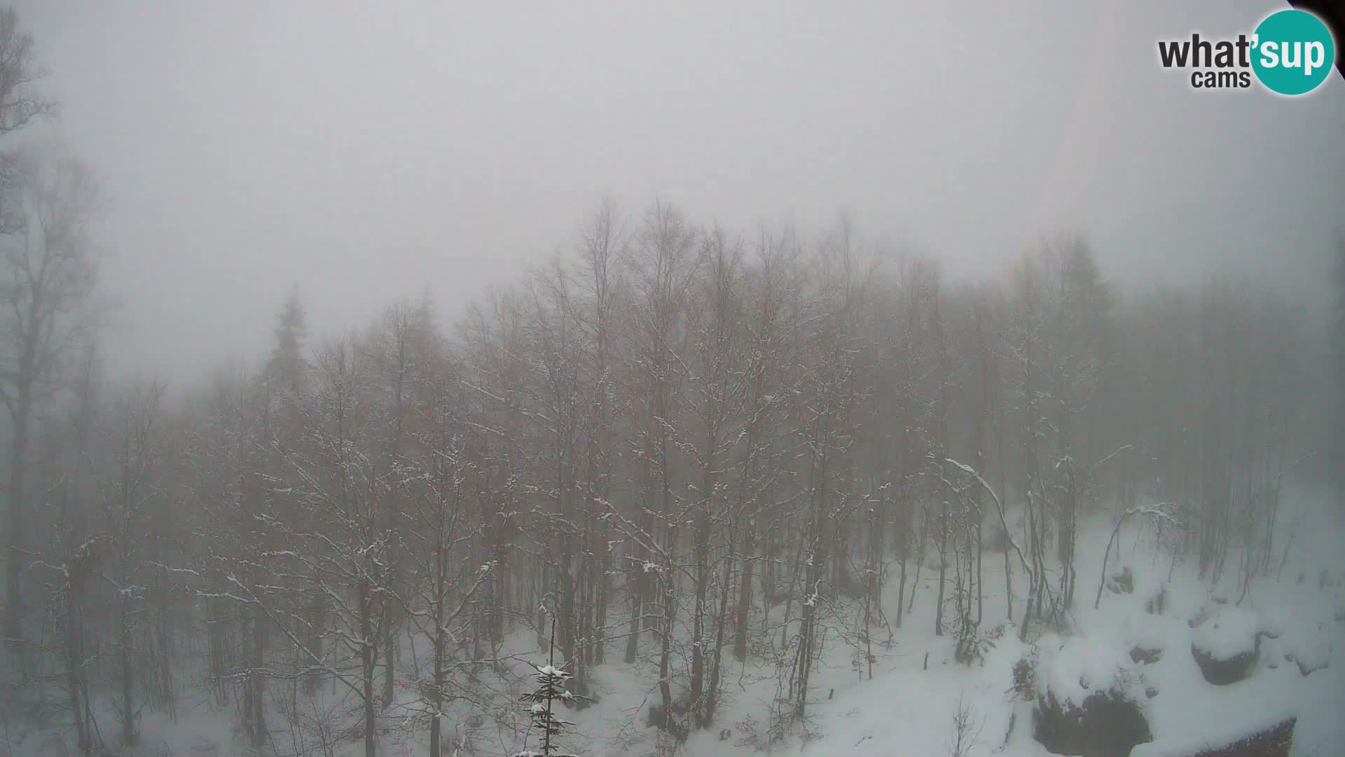 PLANINA RAZOR Live Cam (1315) | vista su Vogel e Globoko