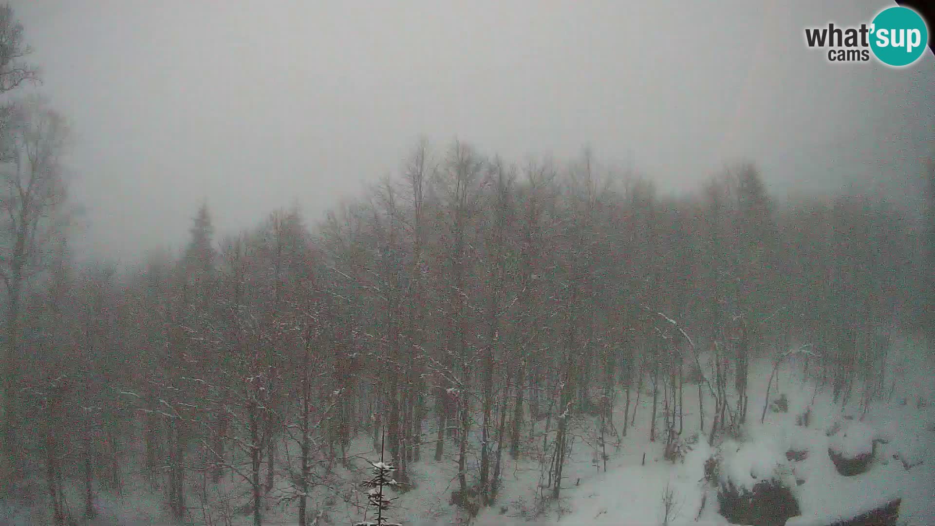 Livecam PLANINA RAZOR (1315) | vue sur Vogel et Globoko