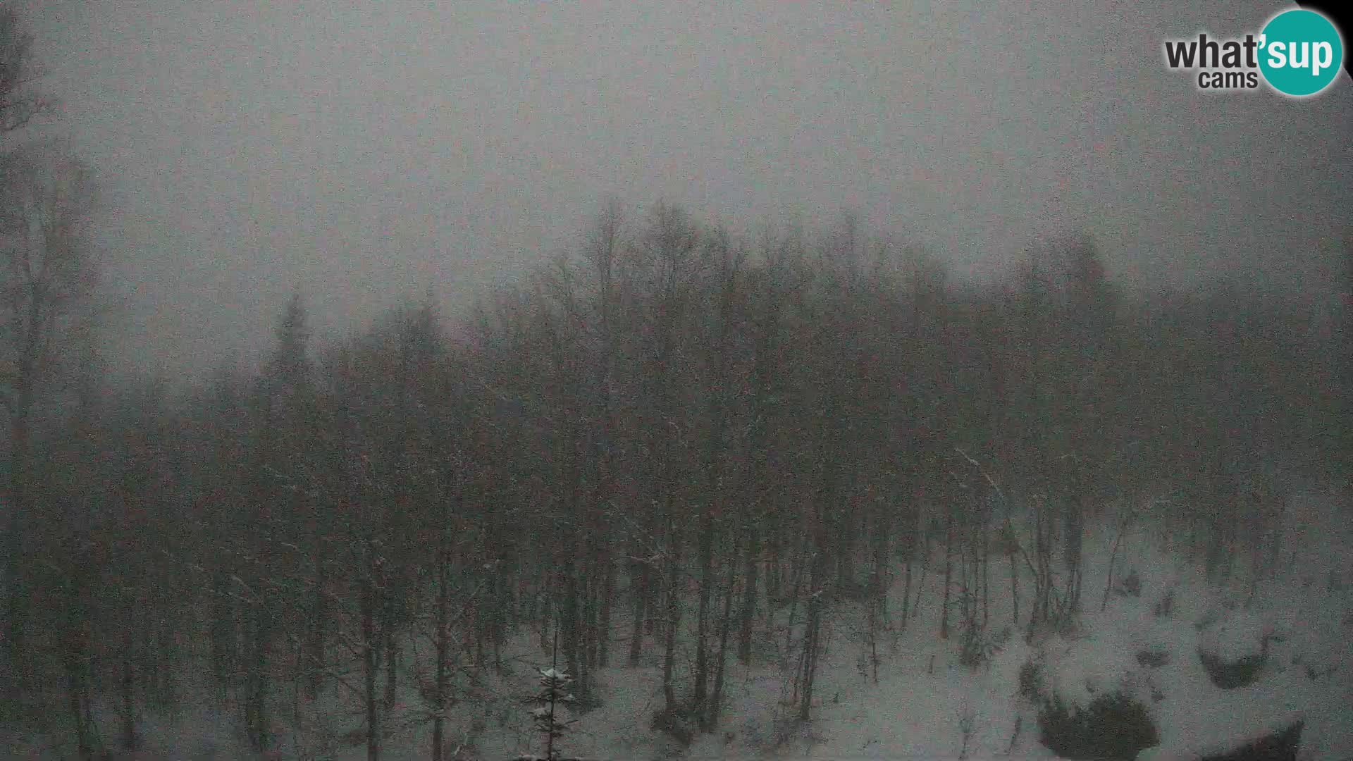 PLANINA RAZOR kamera (1315) | pogled na Vogel in Globoko