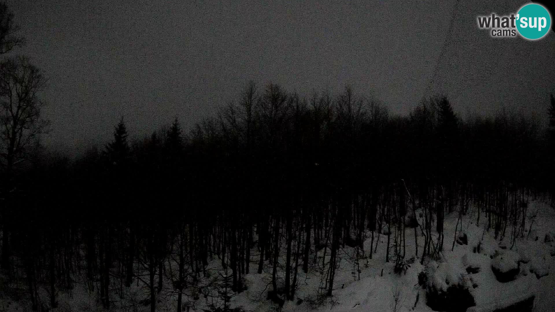 PLANINA RAZOR Live Cam (1315) | vista su Vogel e Globoko