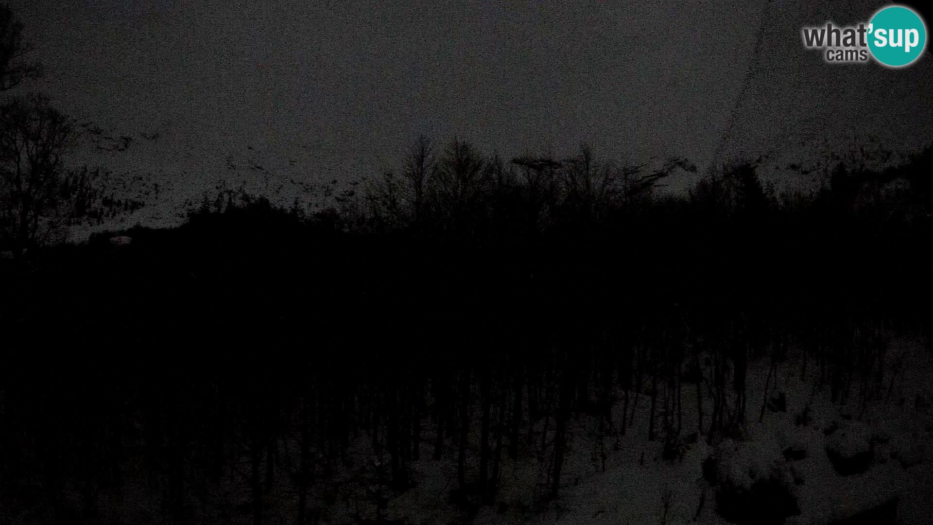 Webcam PLANINA RAZOR (1315) | Blick auf Vogel und Globoko